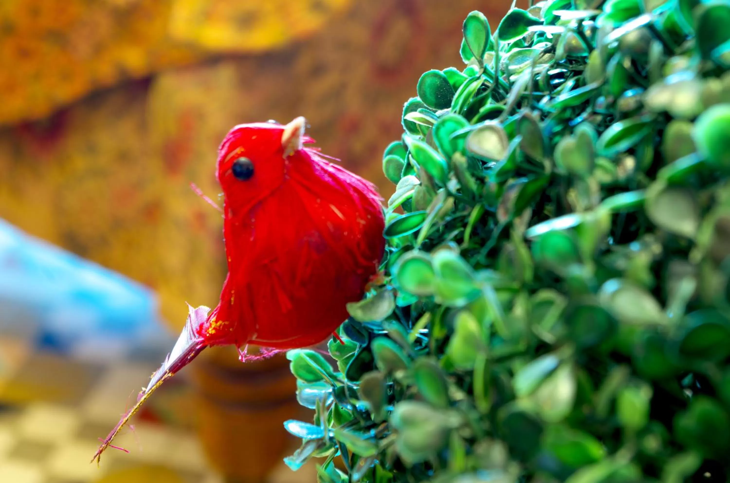 Other Animals in Olmitos 3 Hotel boutique, Casa-Palacio