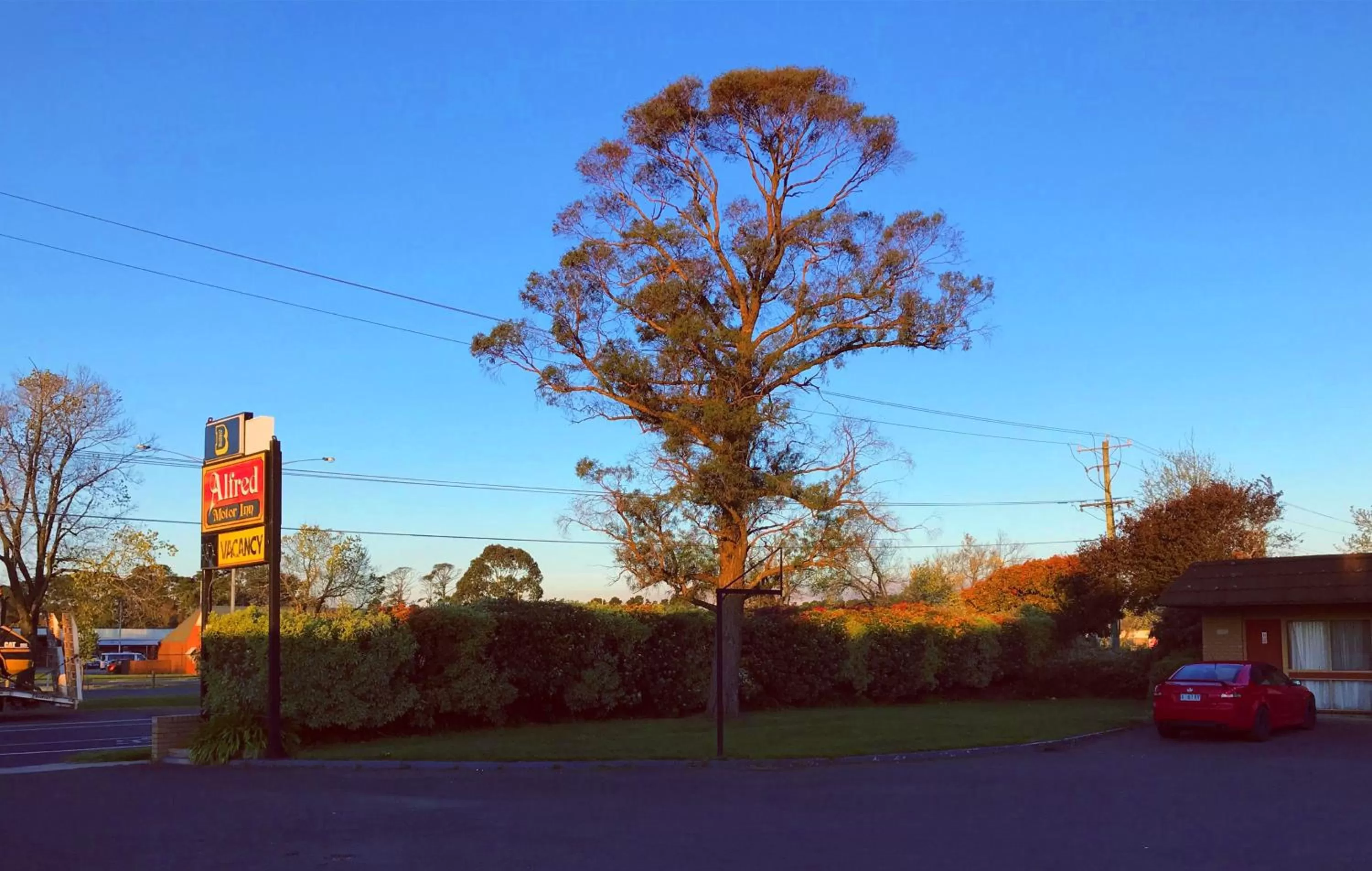 Property logo or sign in Alfred Motor Inn