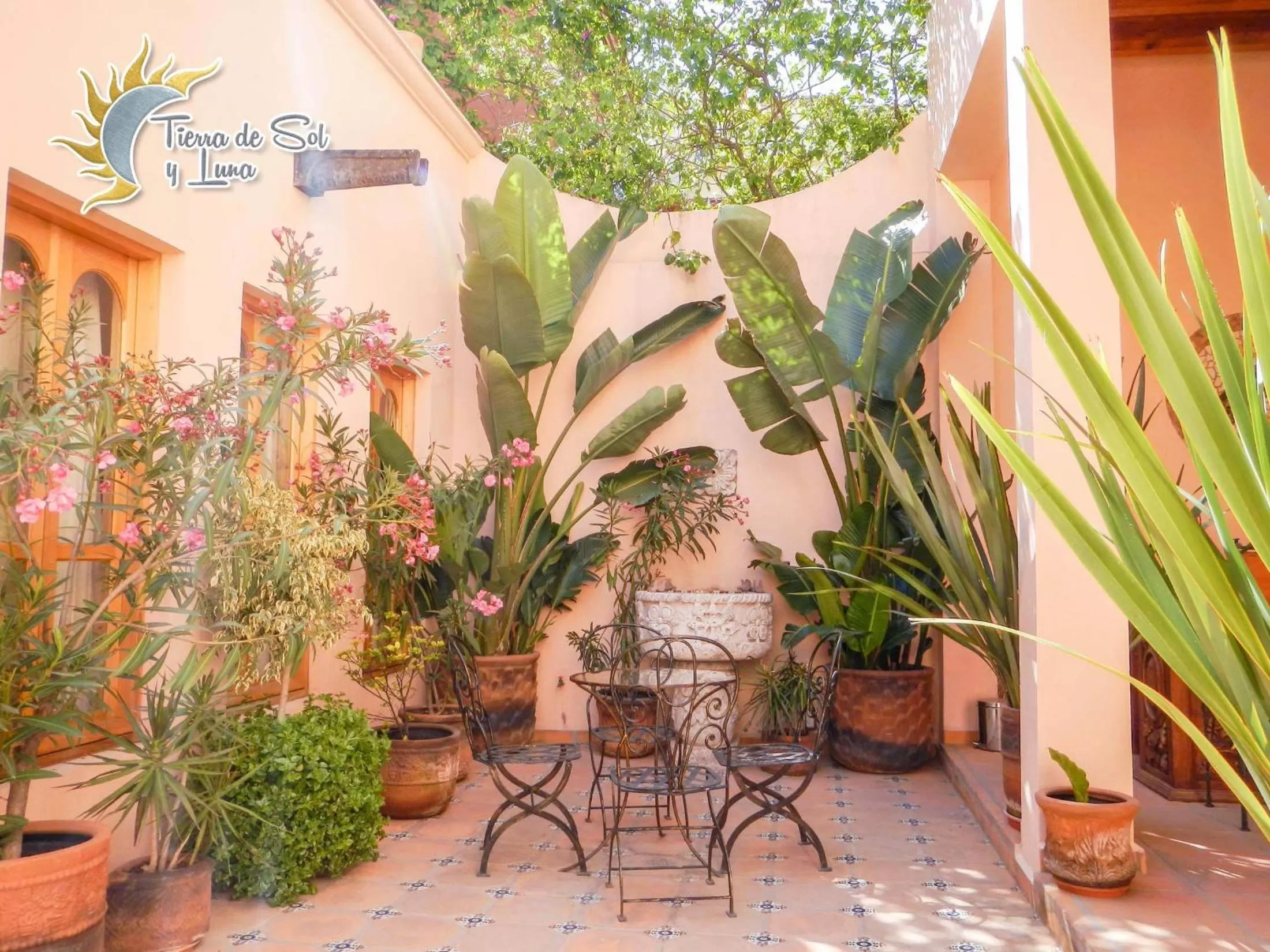 Garden in Hotel Tierra de Sol y Luna