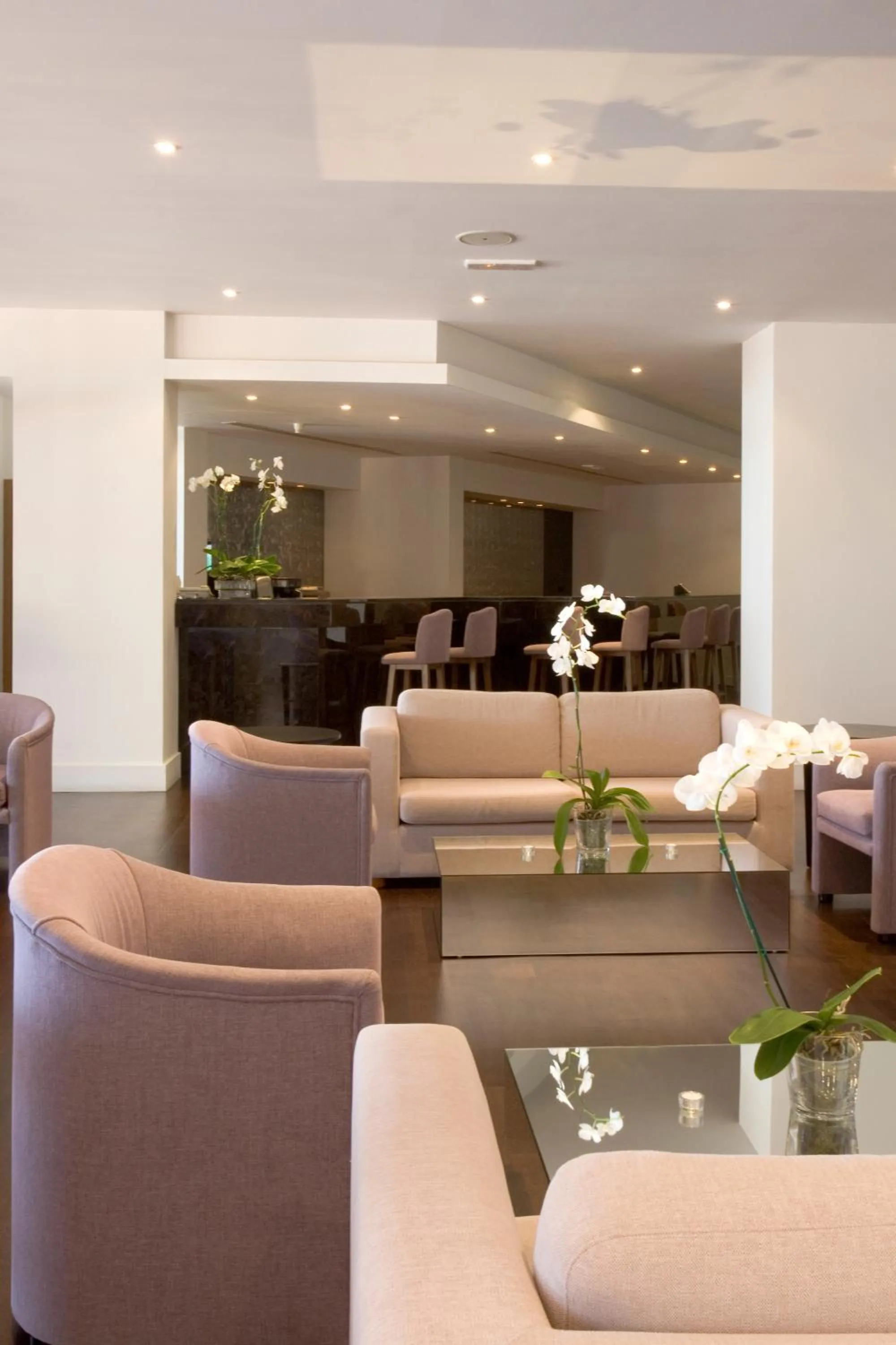 Lounge or bar in Venus Beach Hotel