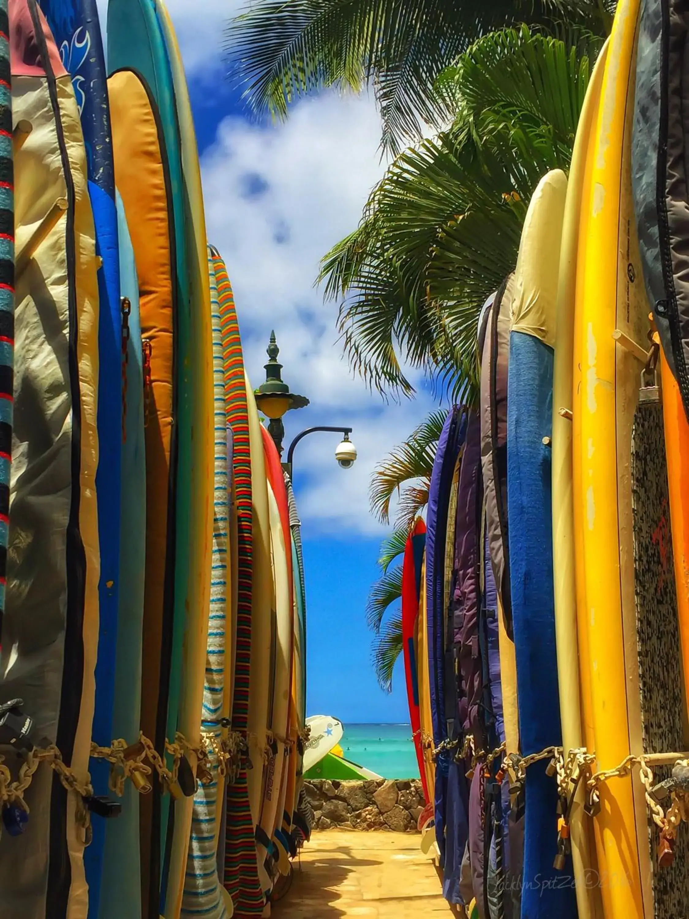Beach in Tropical Studios at Marine Surf Waikiki - FREE PARKING - BEST LOCATION - FULL KITCHEN - SWIMMING POOL