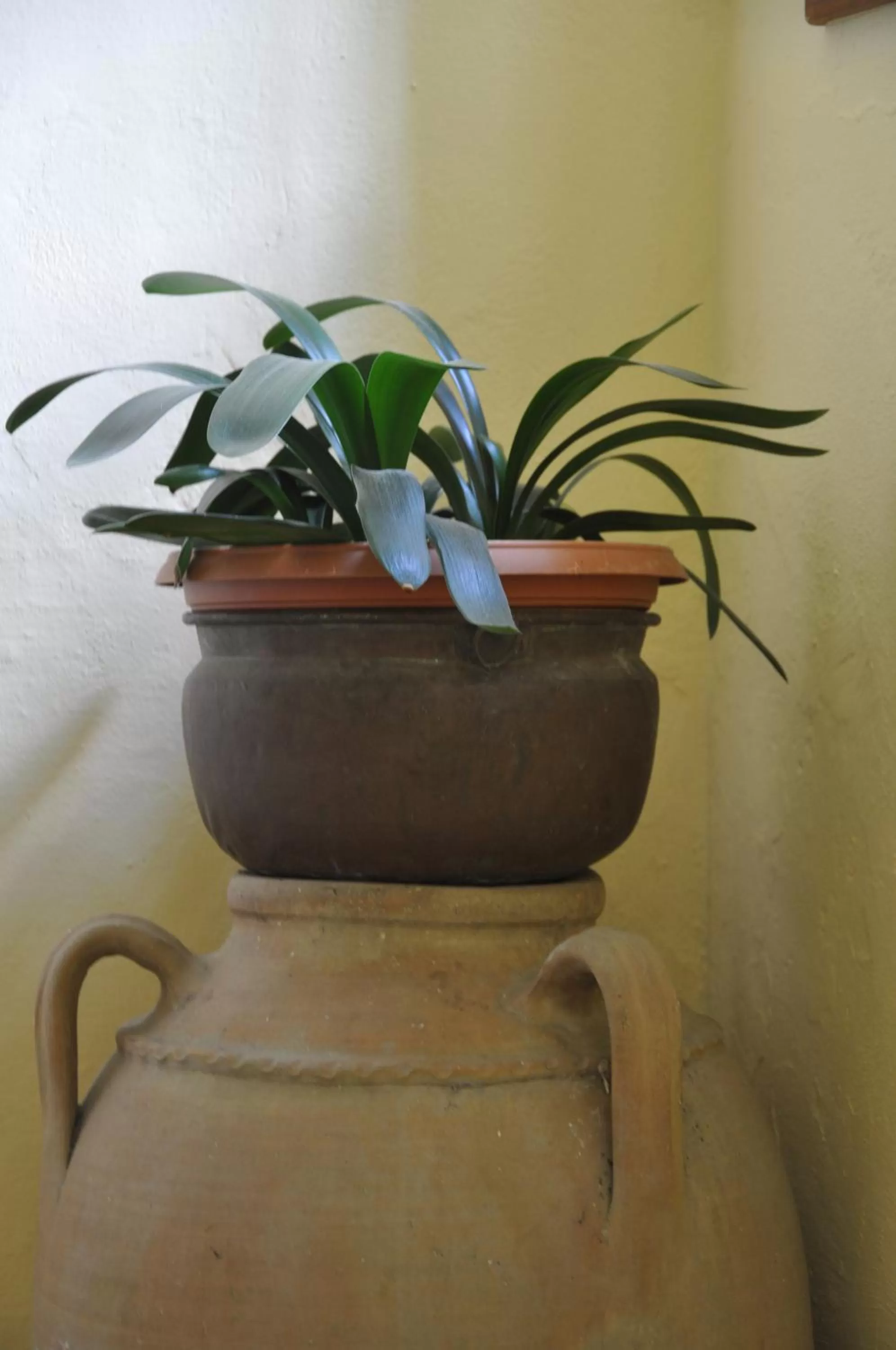 Decorative detail in Villa Annamaria B&B