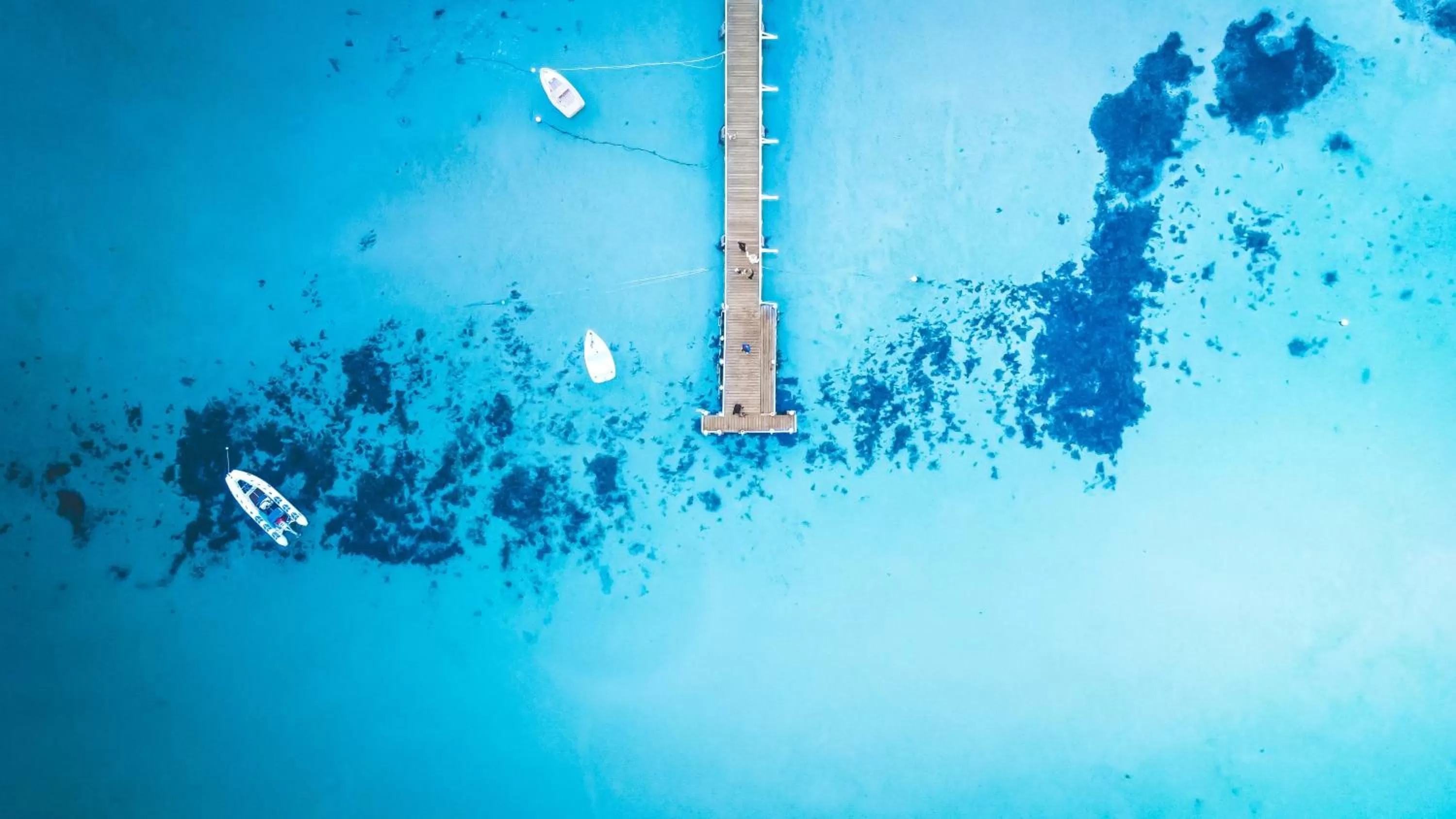 Beach, Bird's-eye View in Rye Beach Motel Australia