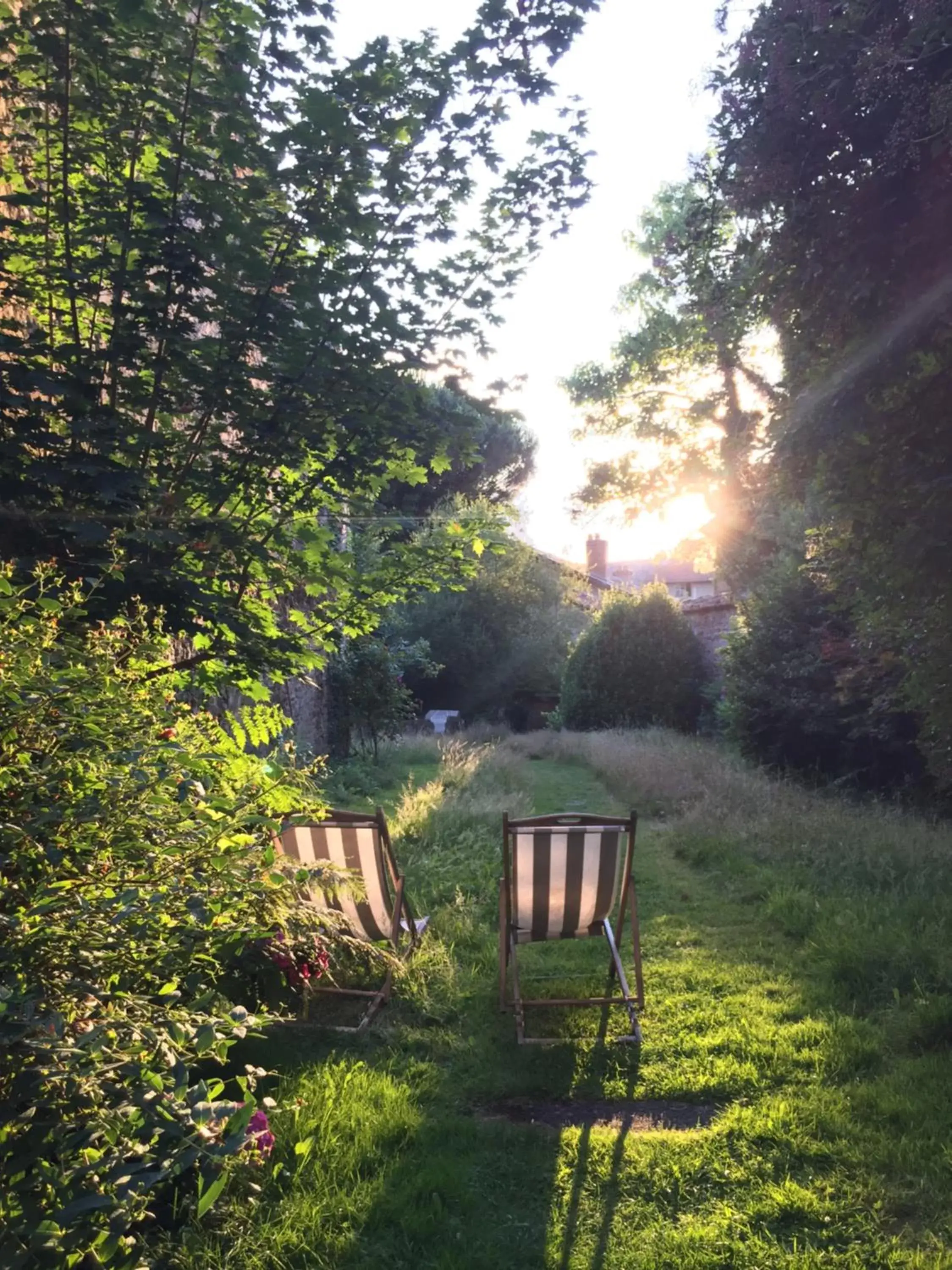 Day, Garden in Le Jardin des Lys