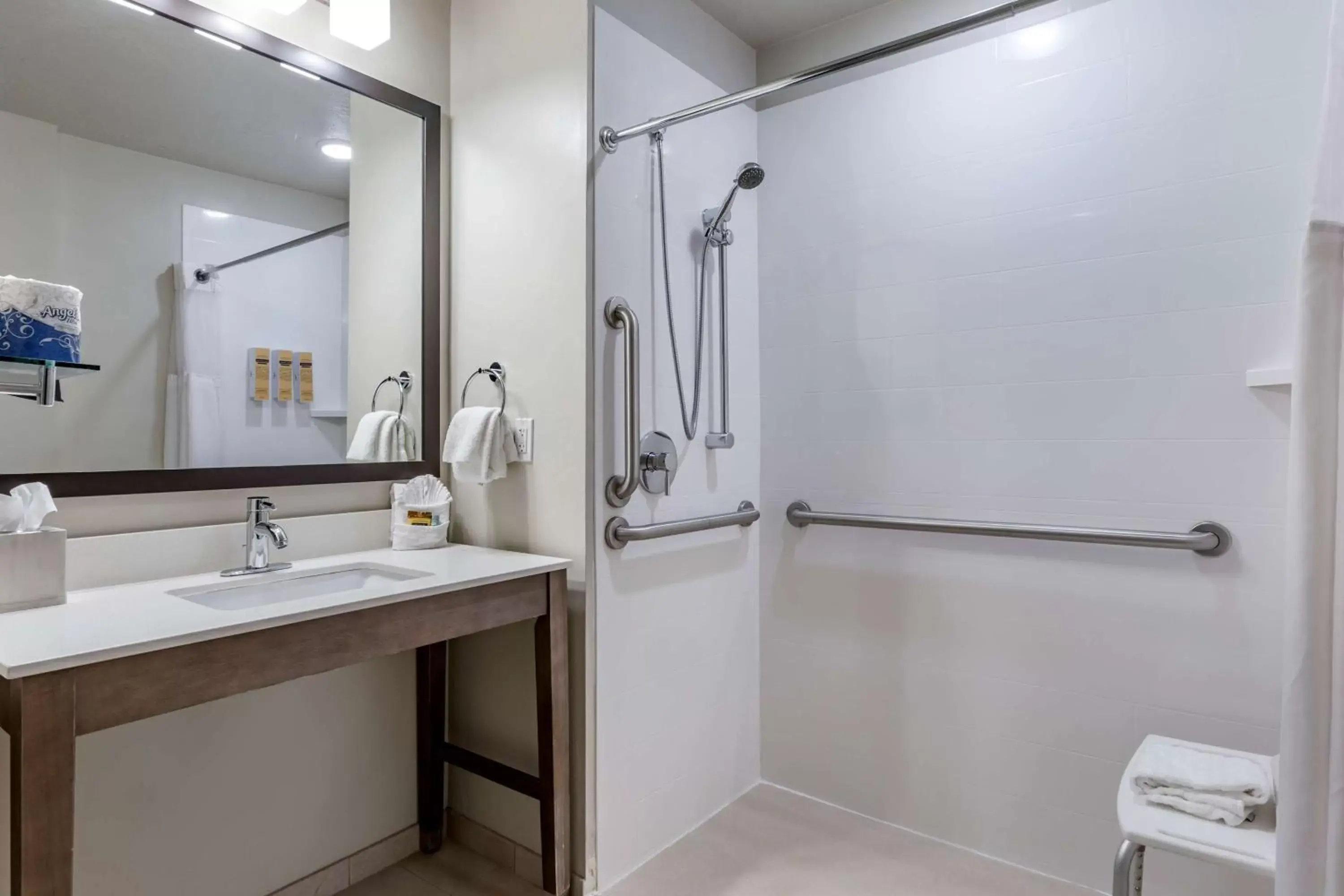 Bathroom in Best Western Plus Zion Canyon Inn & Suites