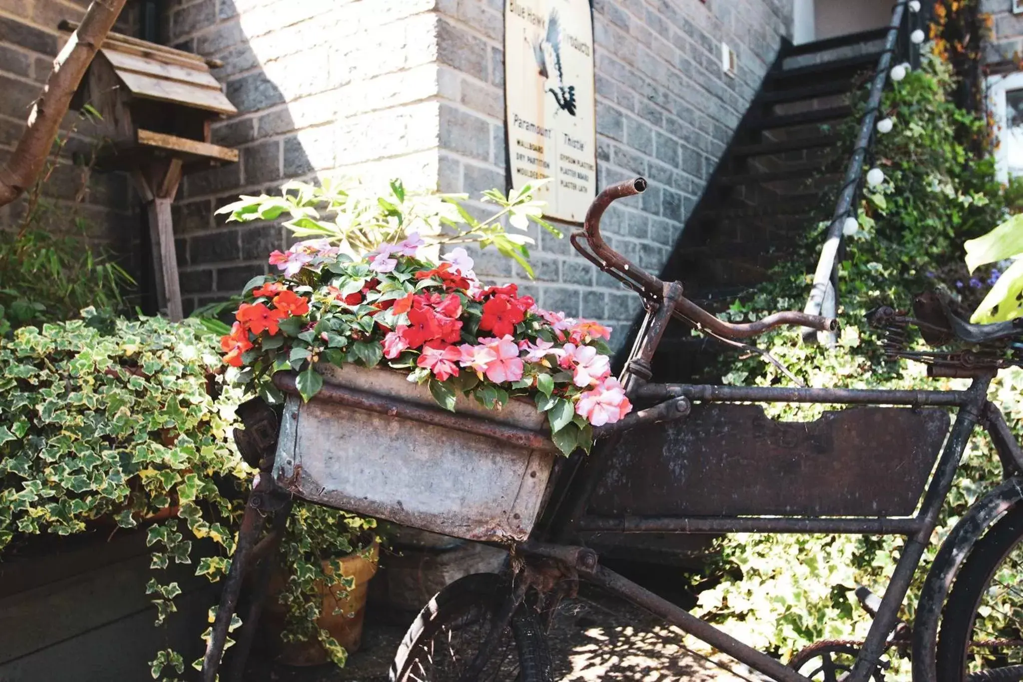 Garden in The Five Dials Inn