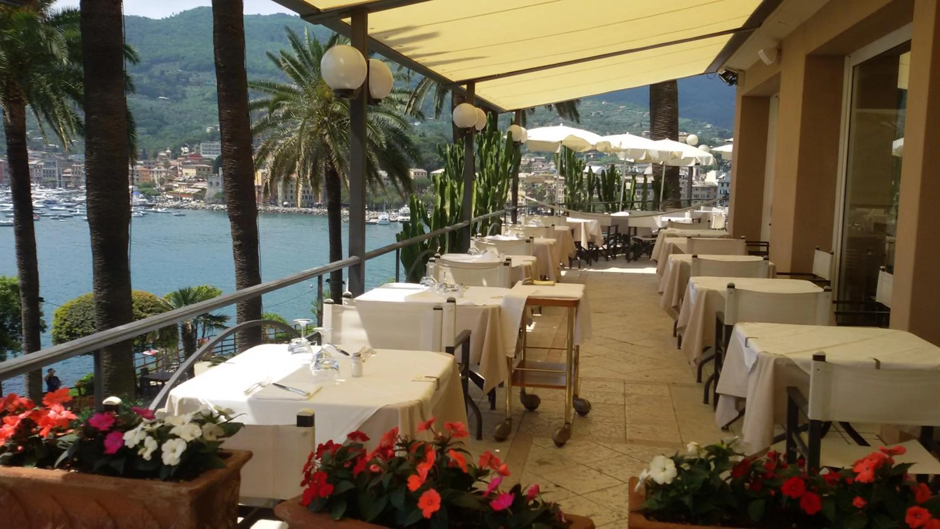 Restaurant/places to eat in Hotel Continental