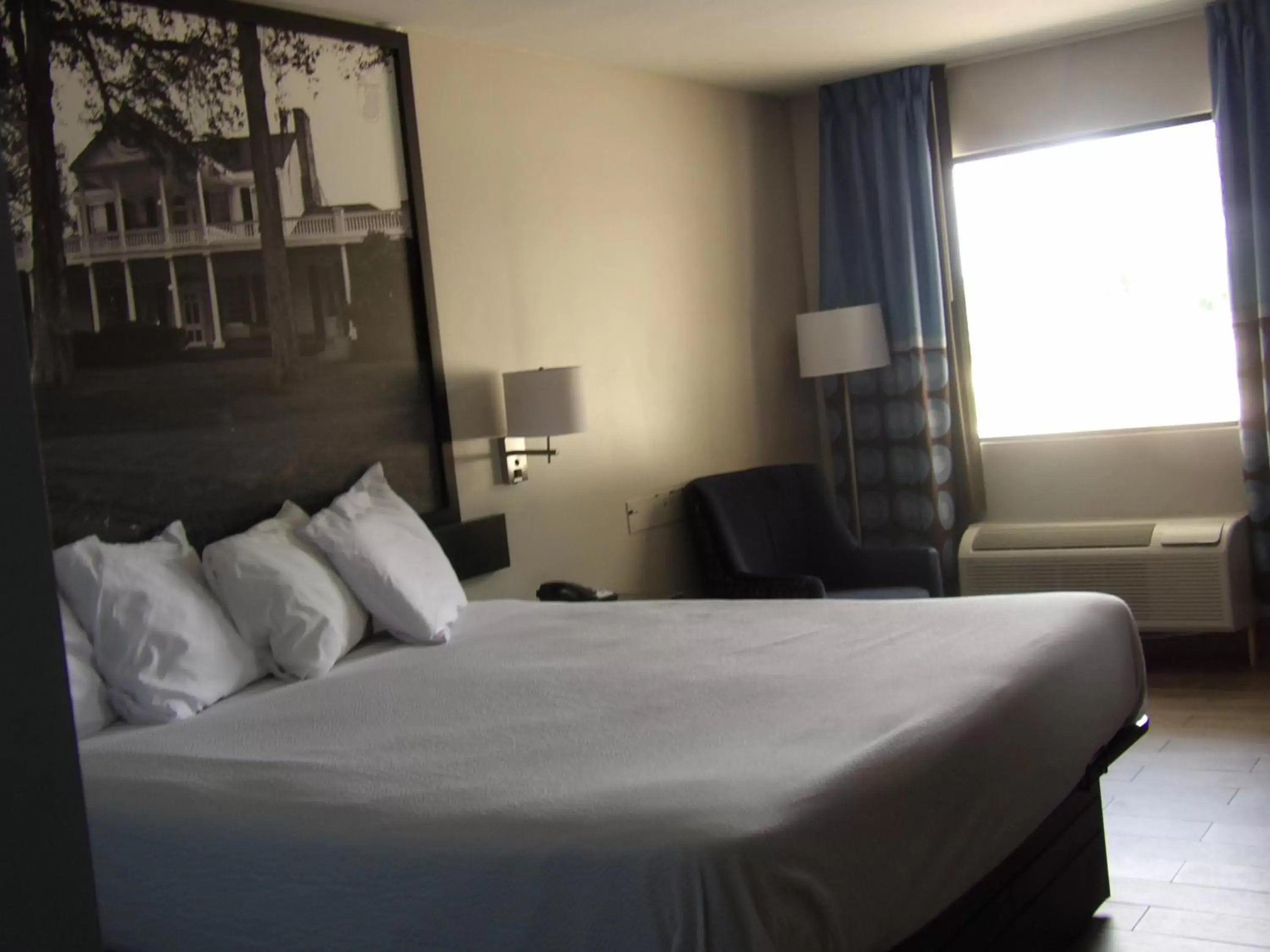 Photo of the whole room, Bed in Super 8 by Wyndham Ocean Springs Biloxi