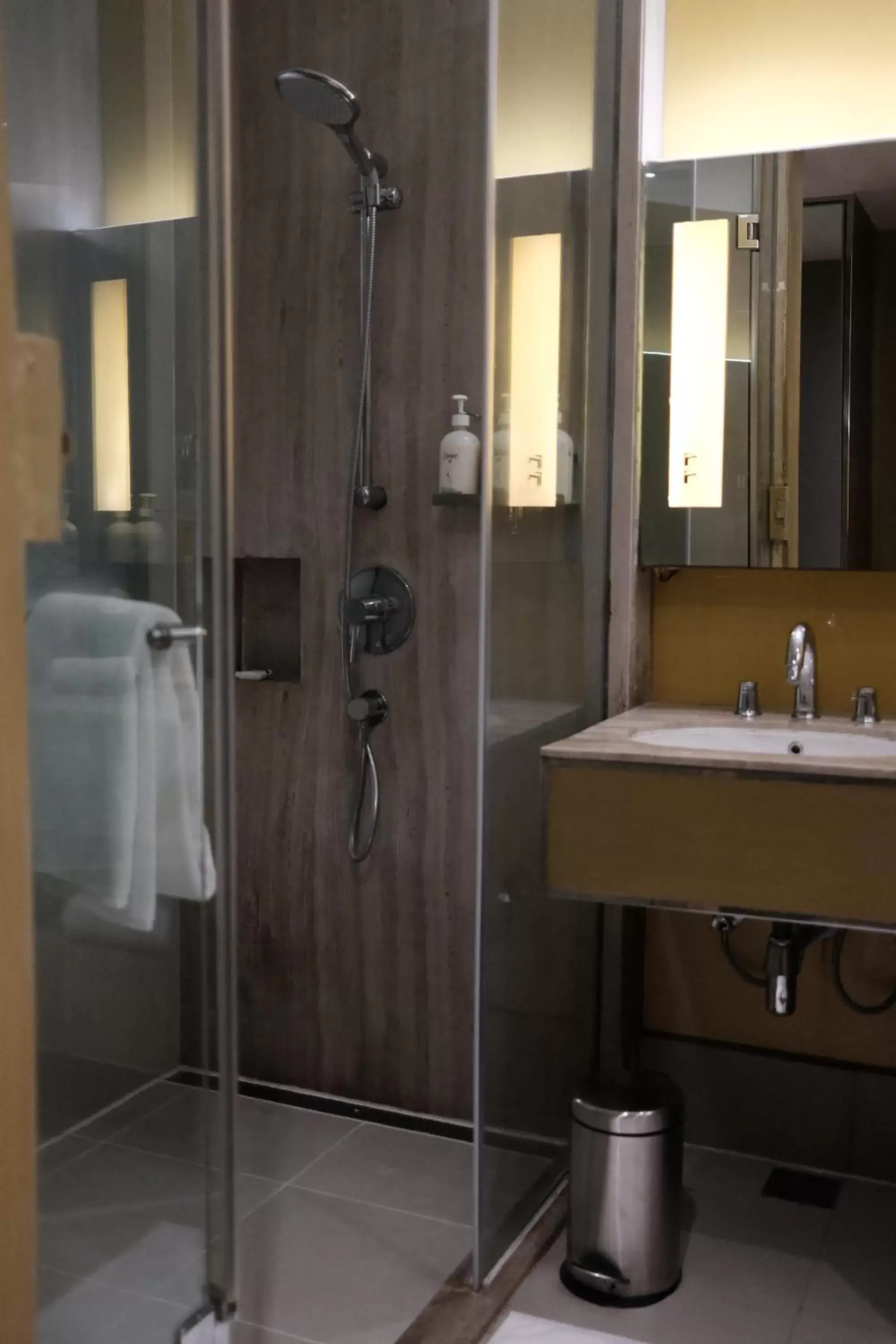 Shower, Bathroom in Holiday Inn New Delhi International Airport, an IHG Hotel