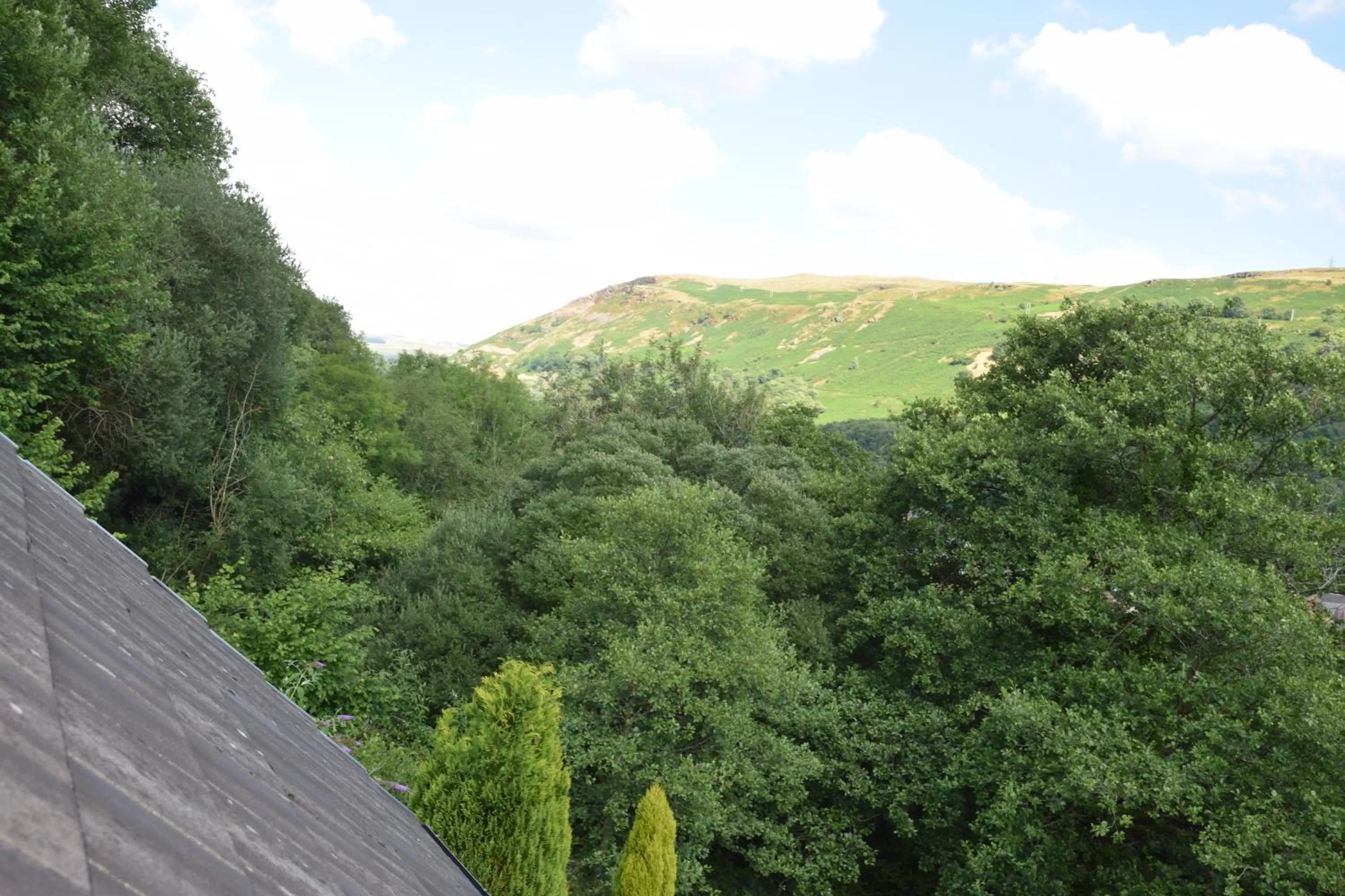 Natural landscape in Cilbrwyn