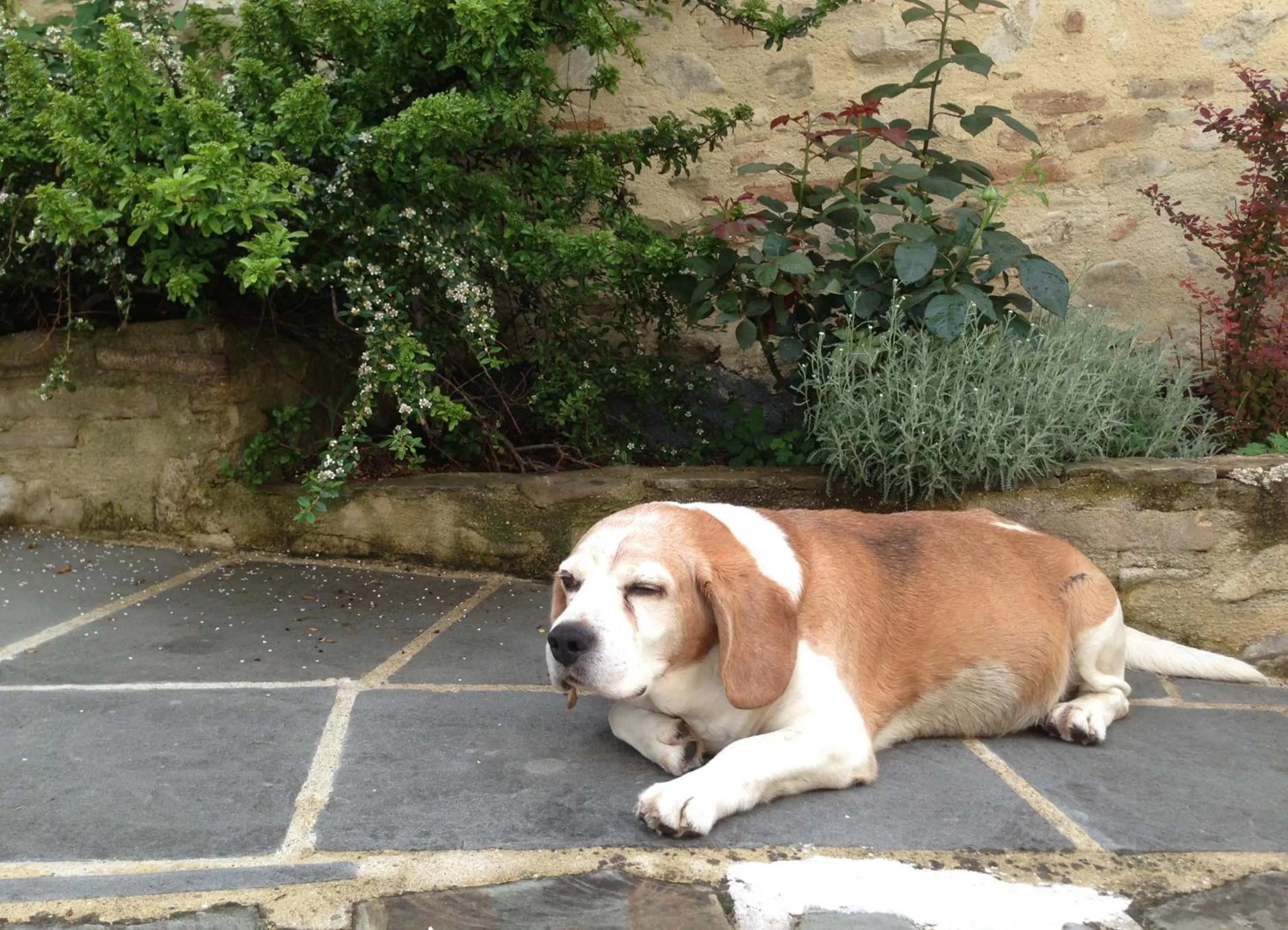 Facade/entrance in Residenza D'epoca Il Biribino