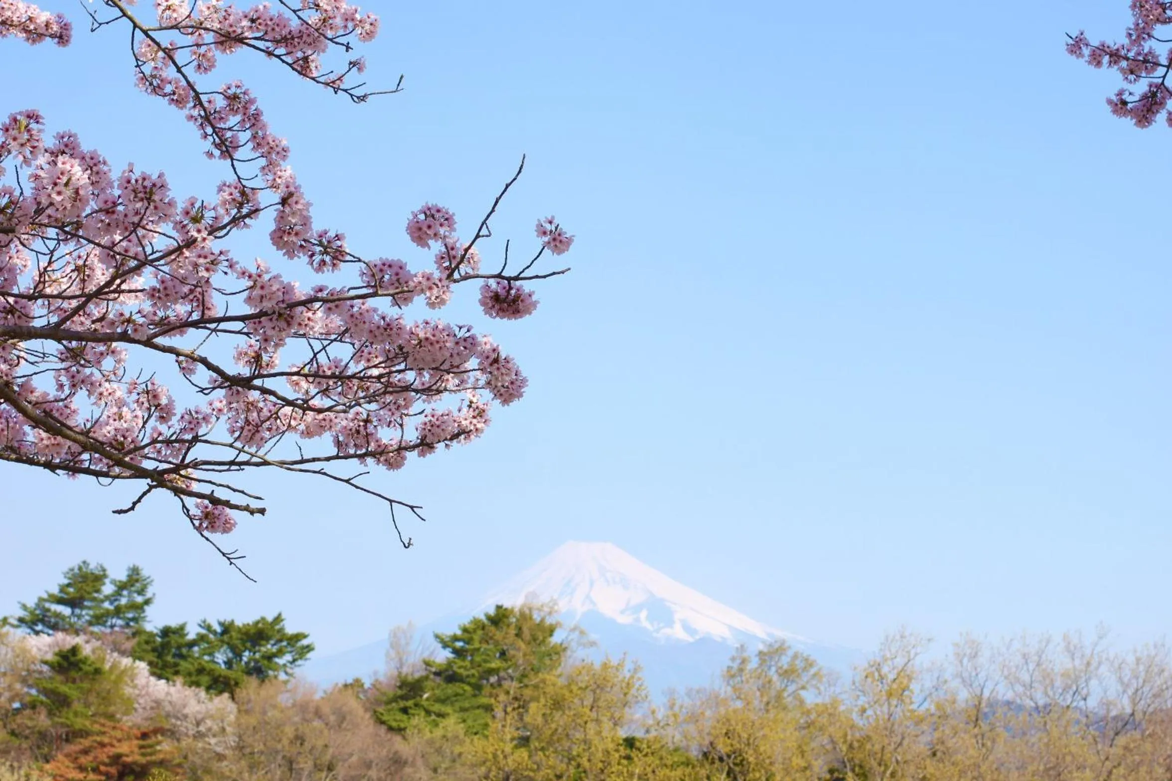 Area and facilities in Hotel Laforet Shuzenji