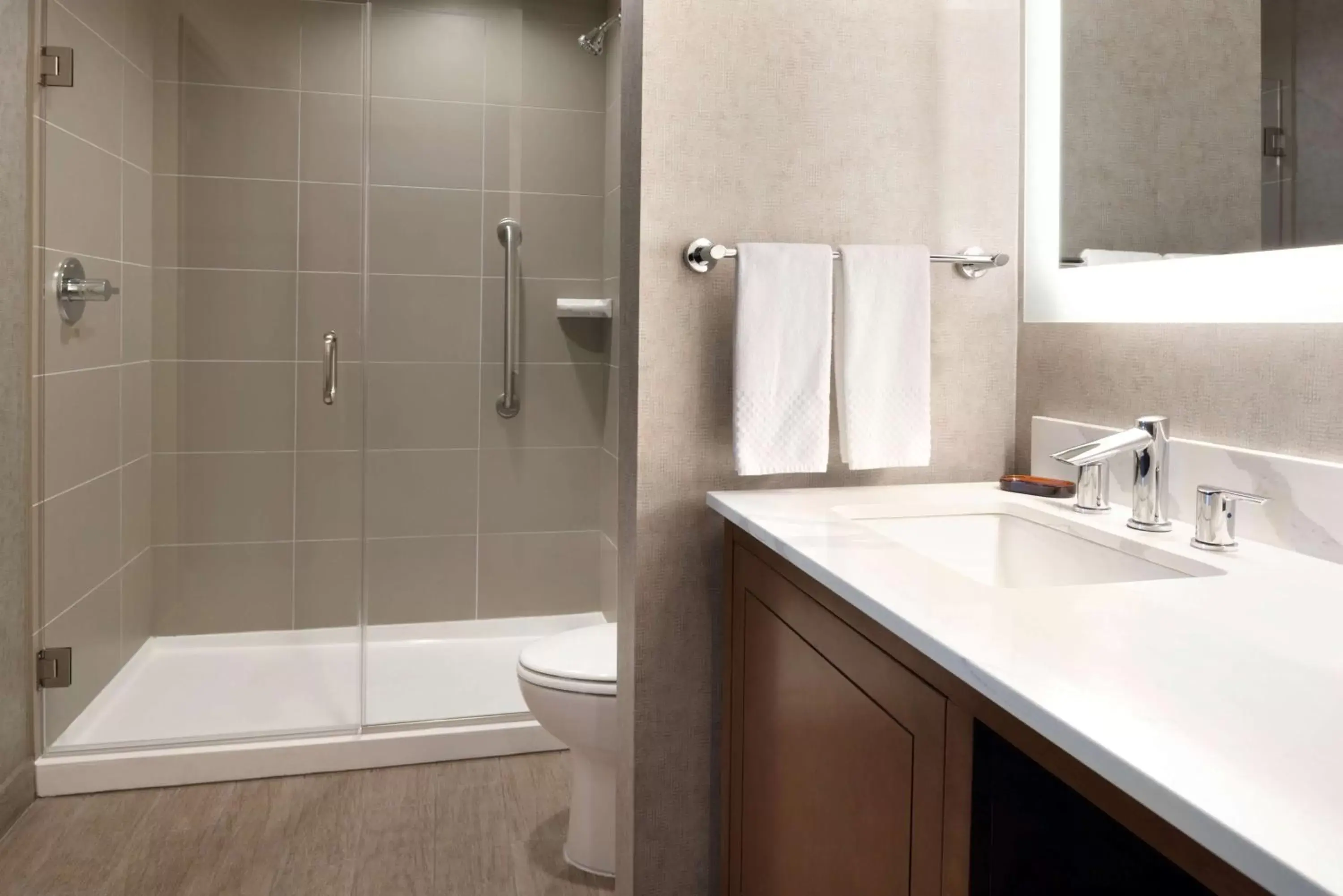 Bathroom in Embassy Suites by Hilton Chicago Naperville