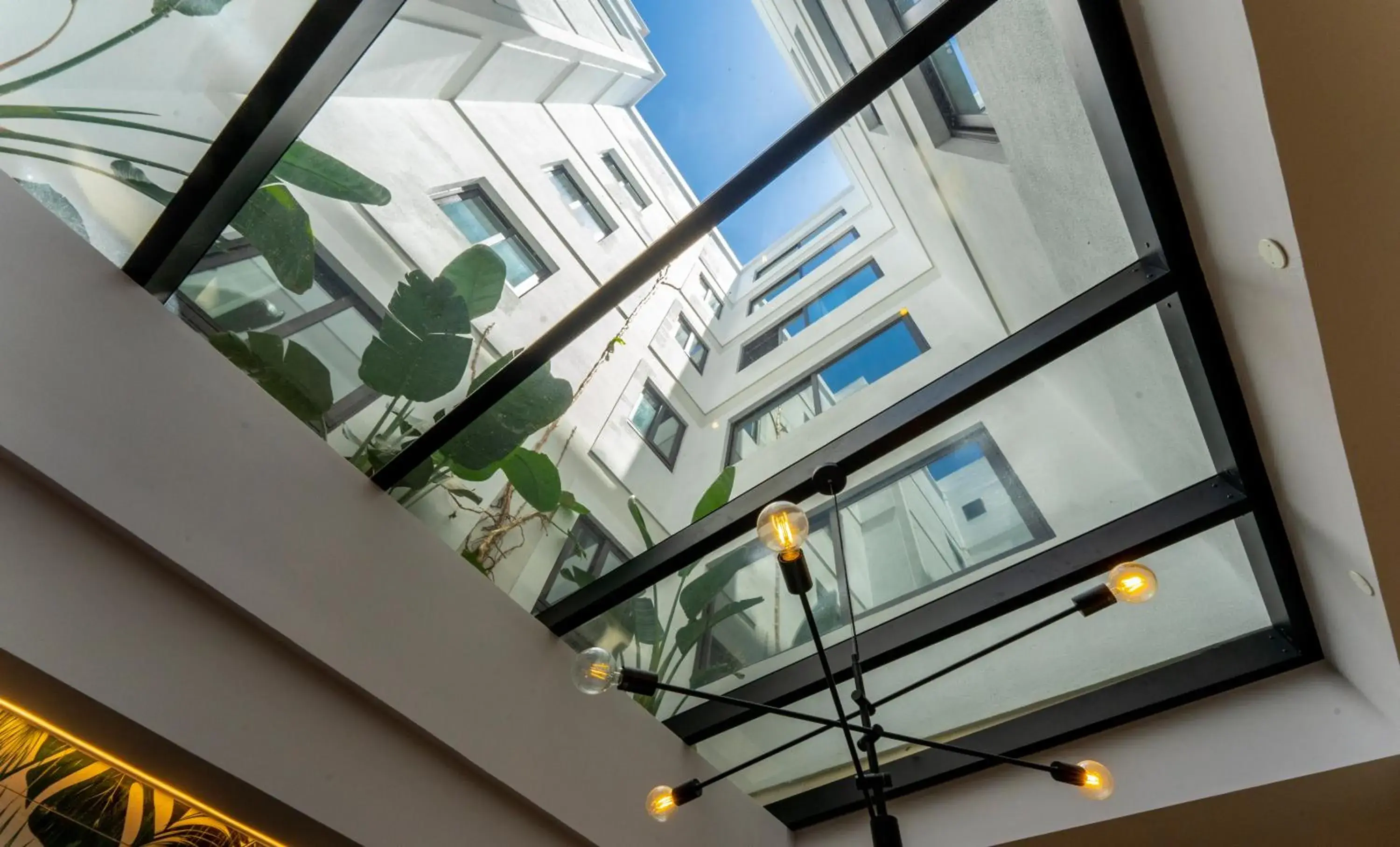 Lobby or reception in DWO Nopal Lobby or reception in DWO Nopal