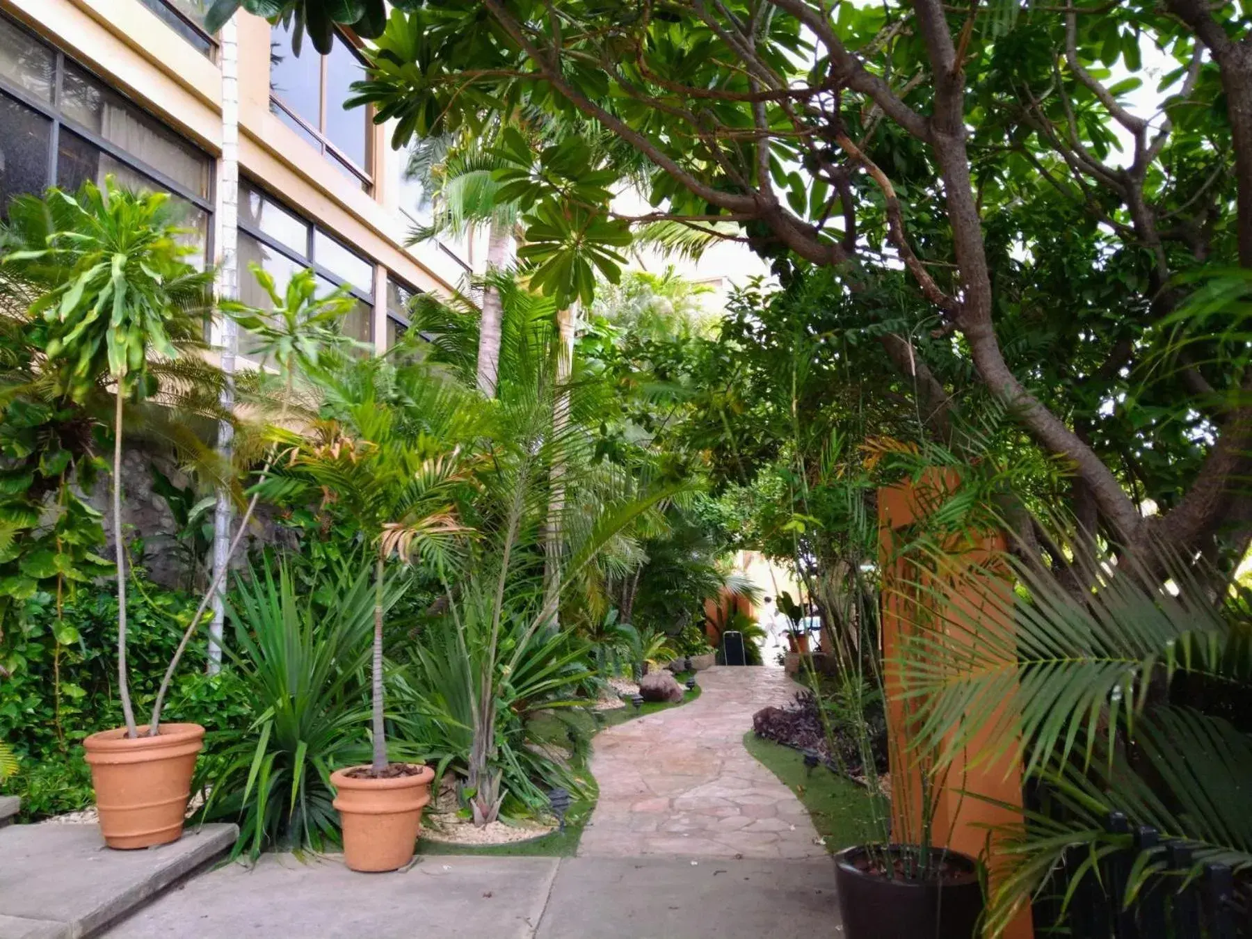 Garden in Hotel San Luis Lindavista