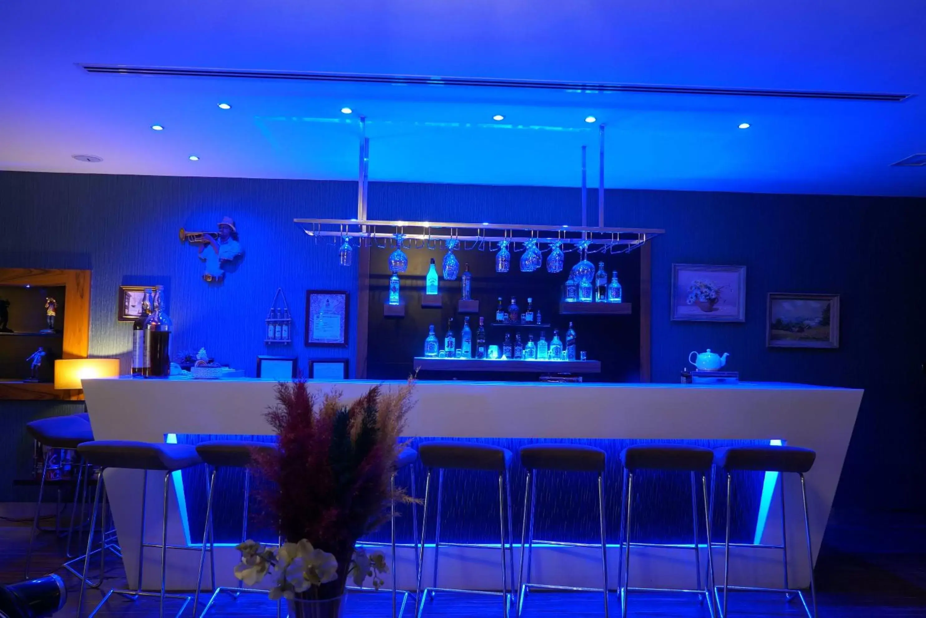 Lounge or bar, Lounge/Bar in Hotel Troya