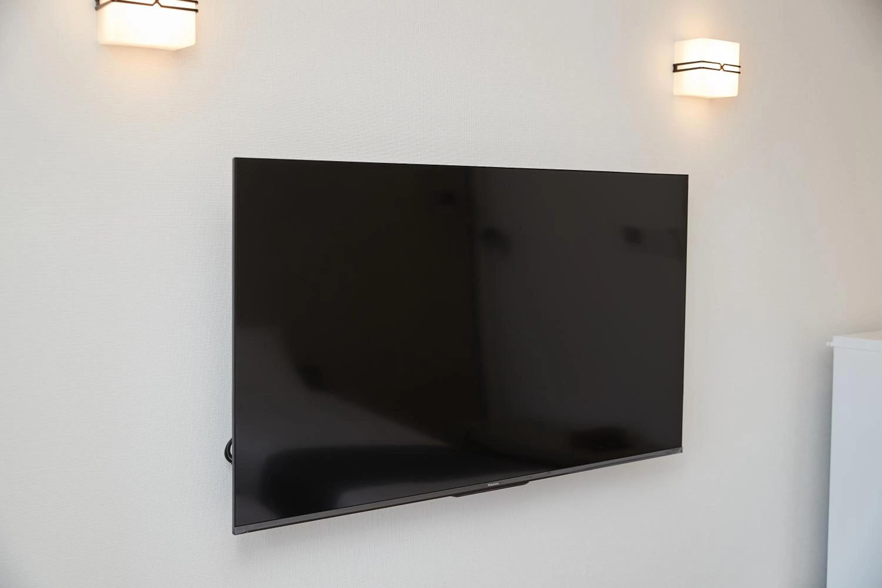 TV and multimedia in New Normal Hotel in NAMINOUE ニューノーマルホテルイン波の上