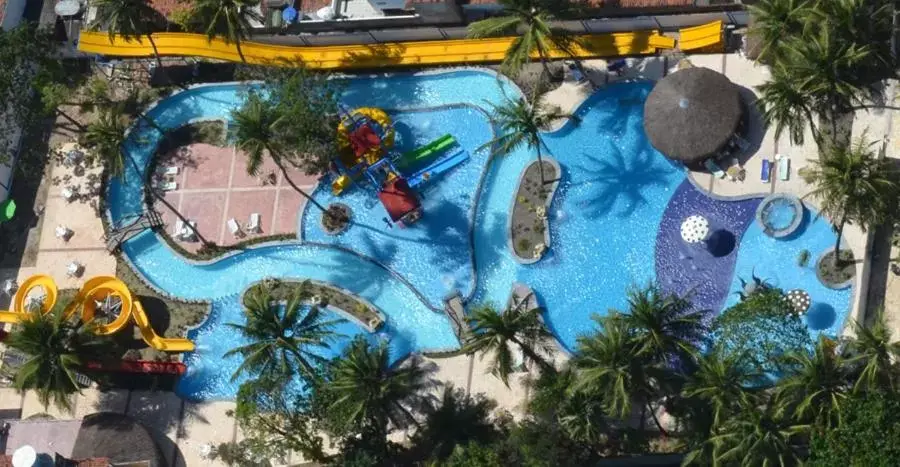 Swimming pool, Pool View in Matsubara Acqua Park Hotel