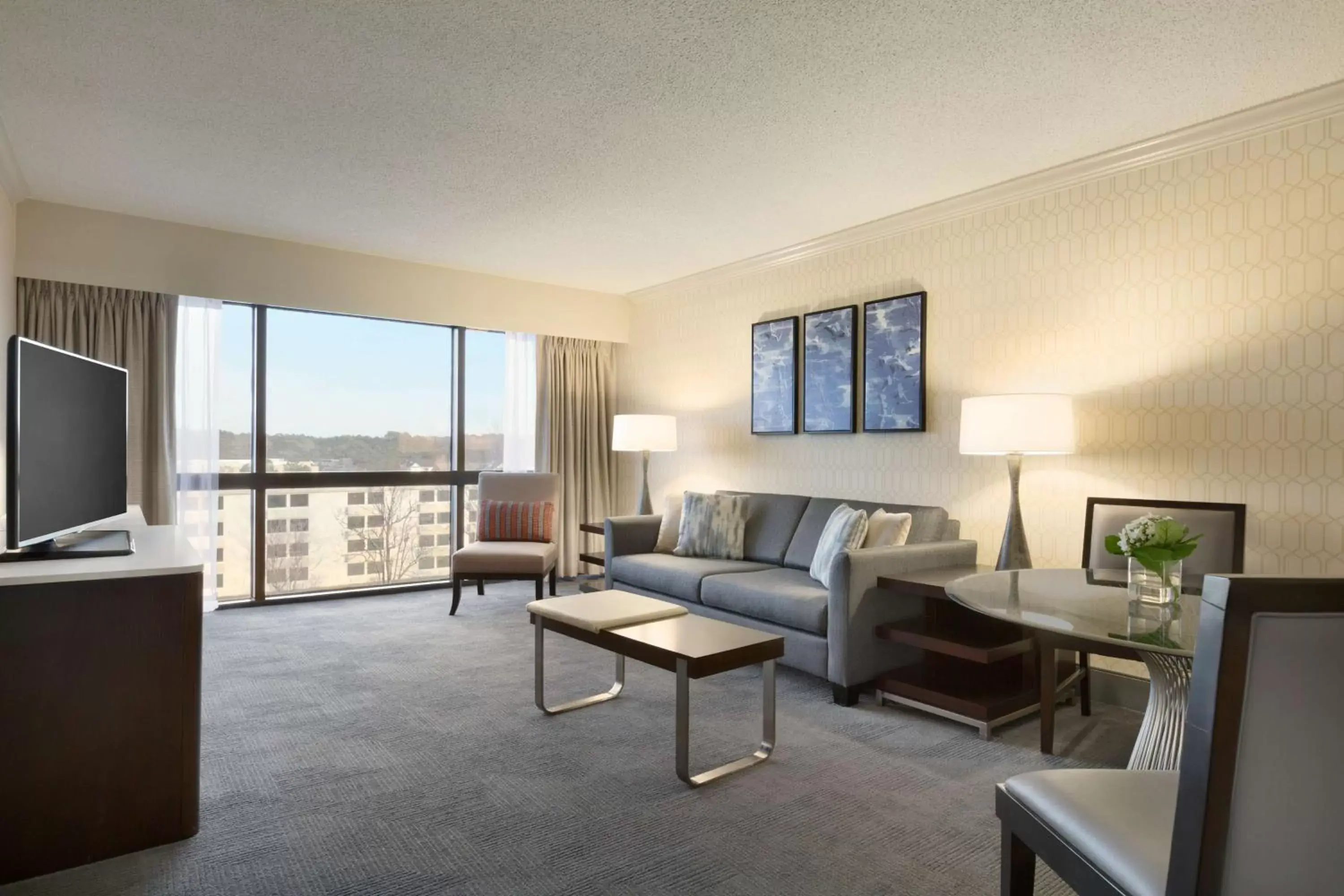 Living room, Seating Area in Hilton Greenville