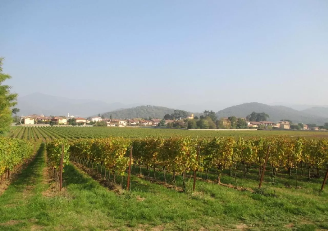 Natural landscape in La Corte B&B