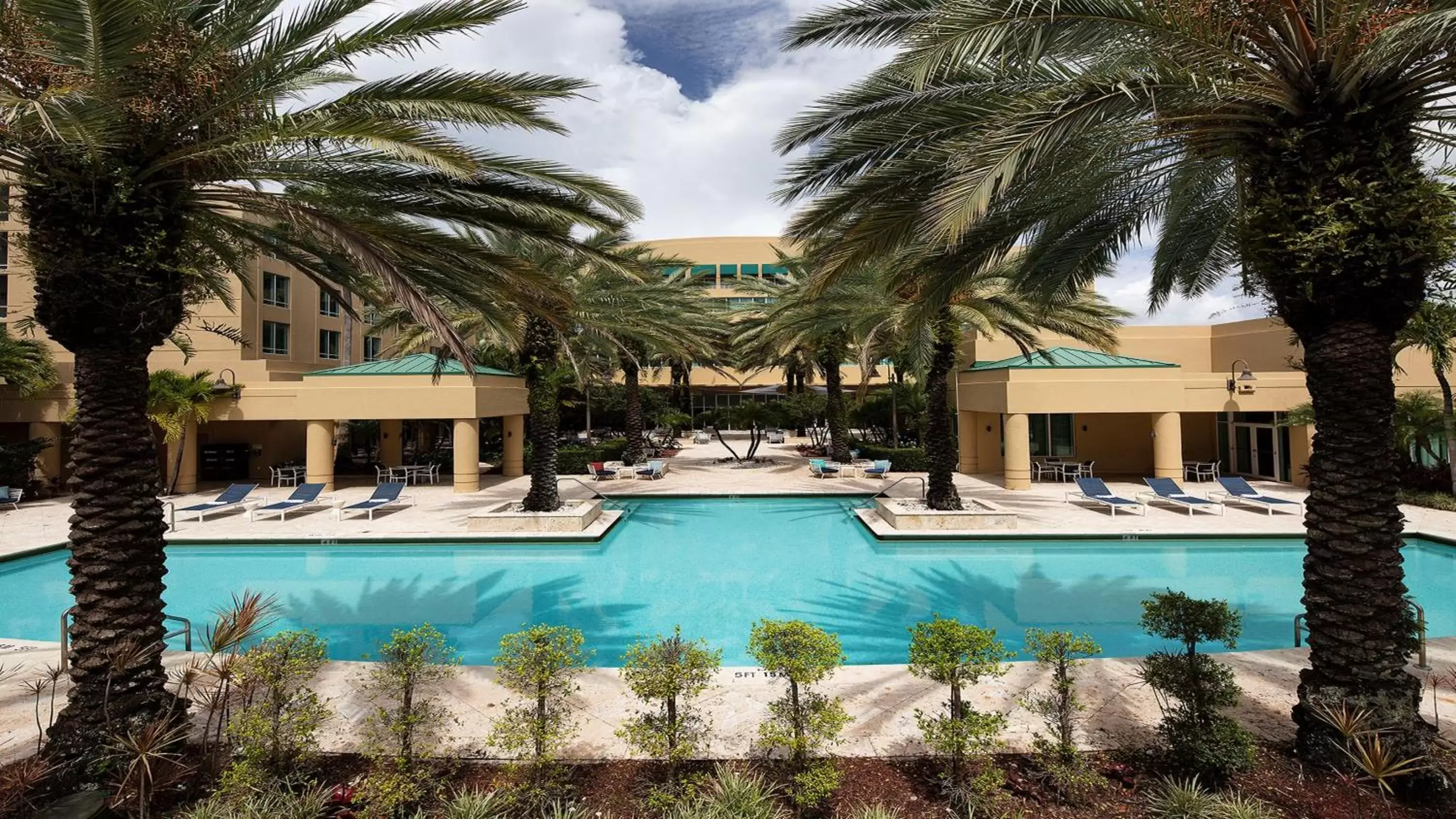 Swimming Pool in InterContinental at Doral Miami, an IHG Hotel