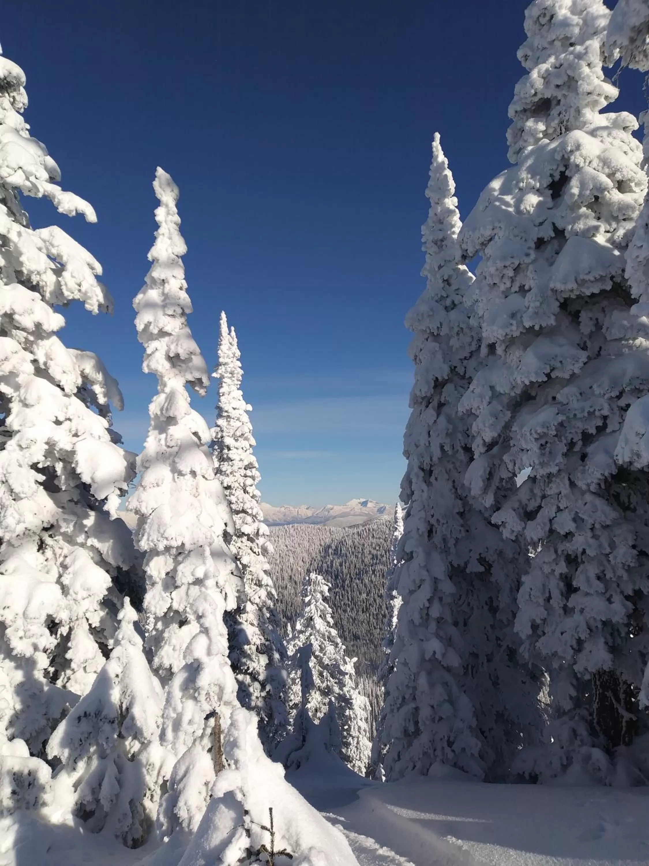Skiing in Chalet Inn