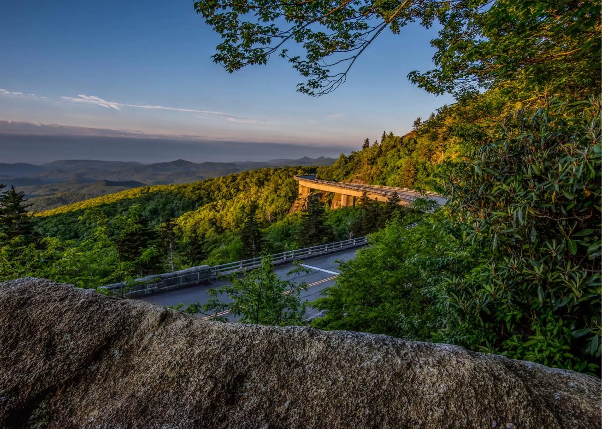 Natural landscape in Meadowbrook Inn