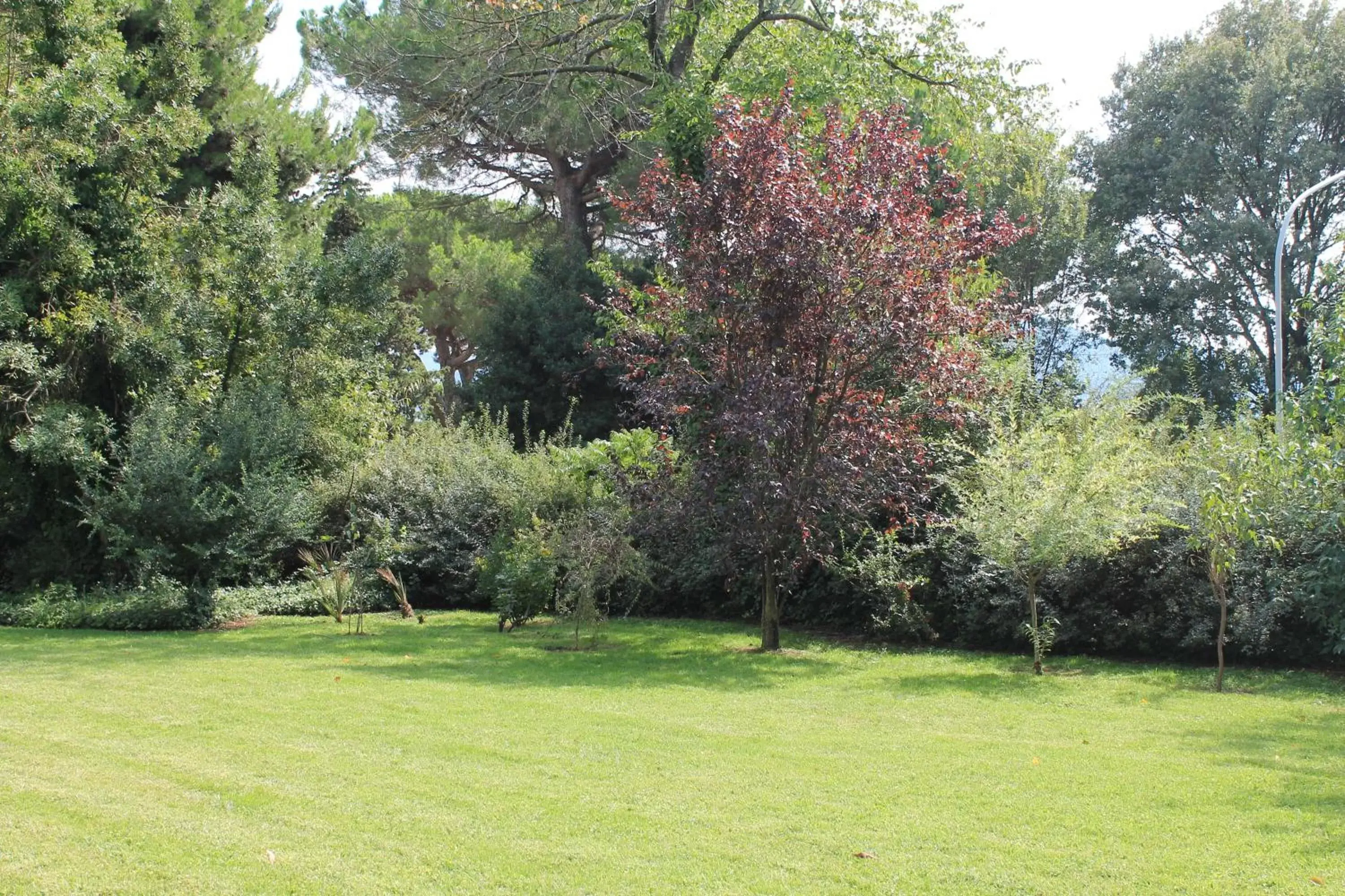 Garden in Villa Abbamer