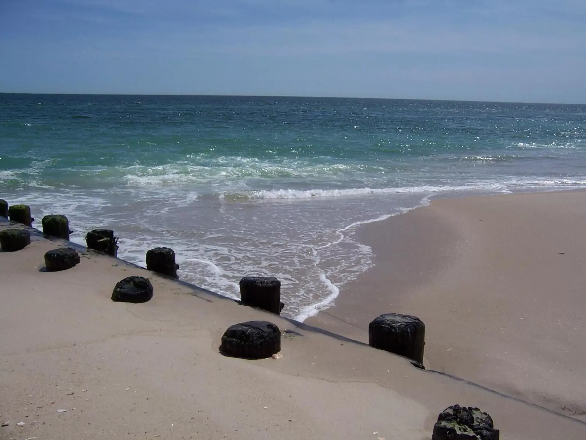 Day, Beach in Sea Horse Motel