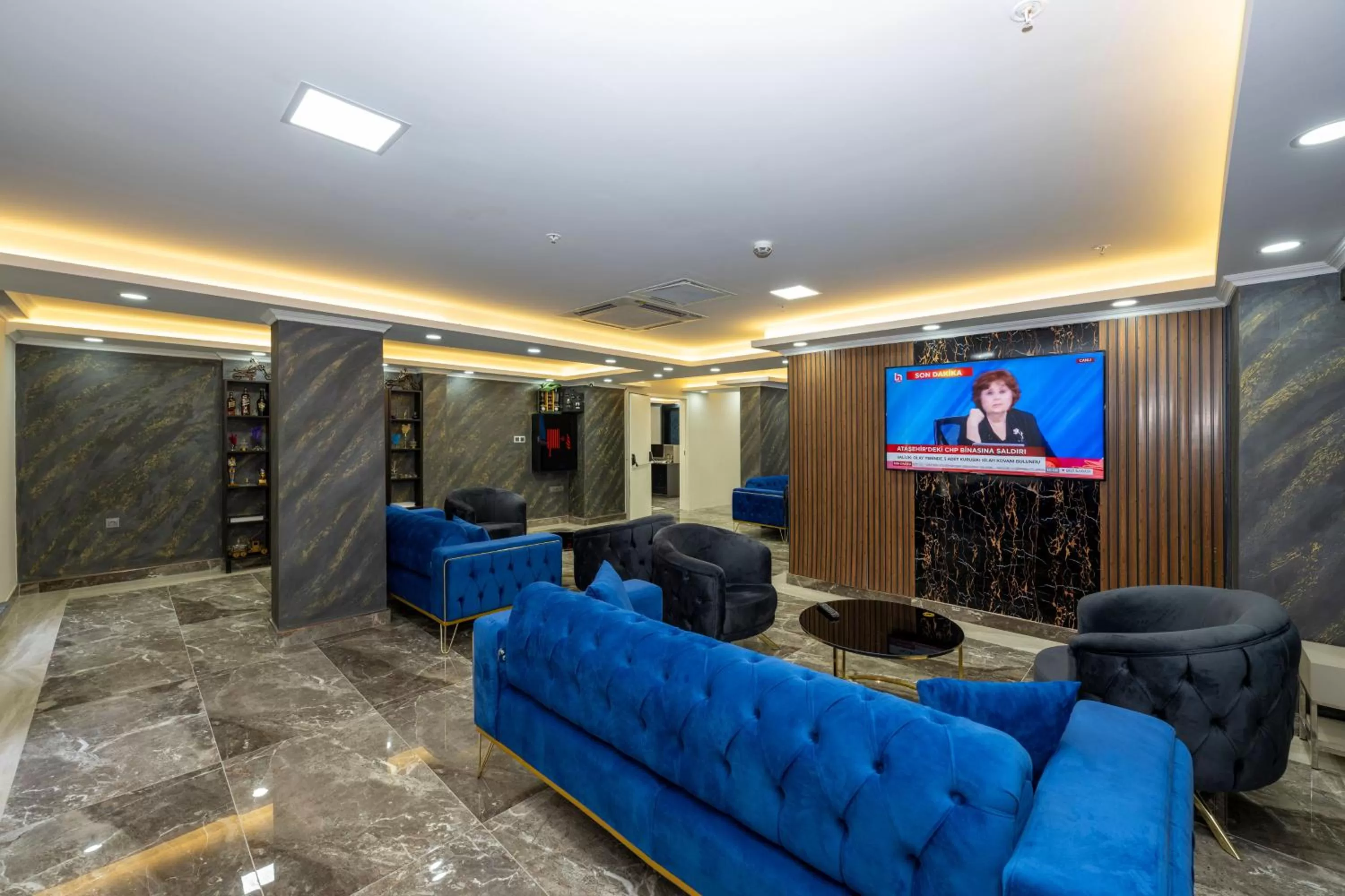 Communal lounge/ TV room in SKYSTAR DELUXE HOTEL