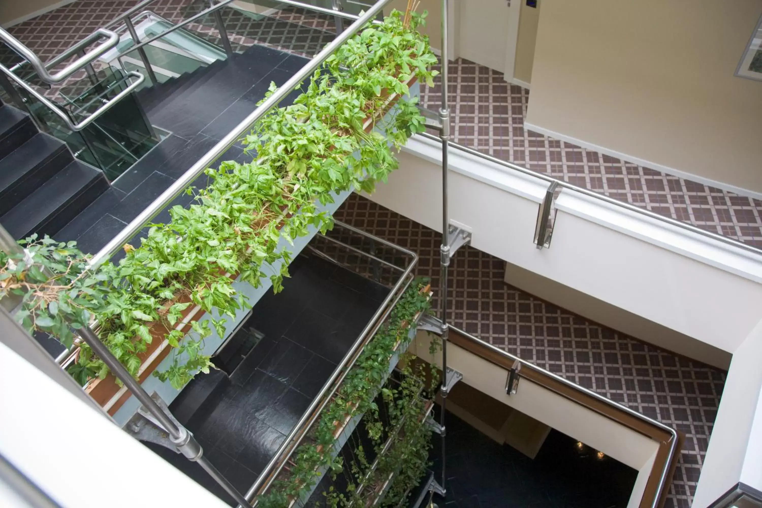 Lobby or reception in Hotel Federico II Lobby or reception in Hotel Federico II