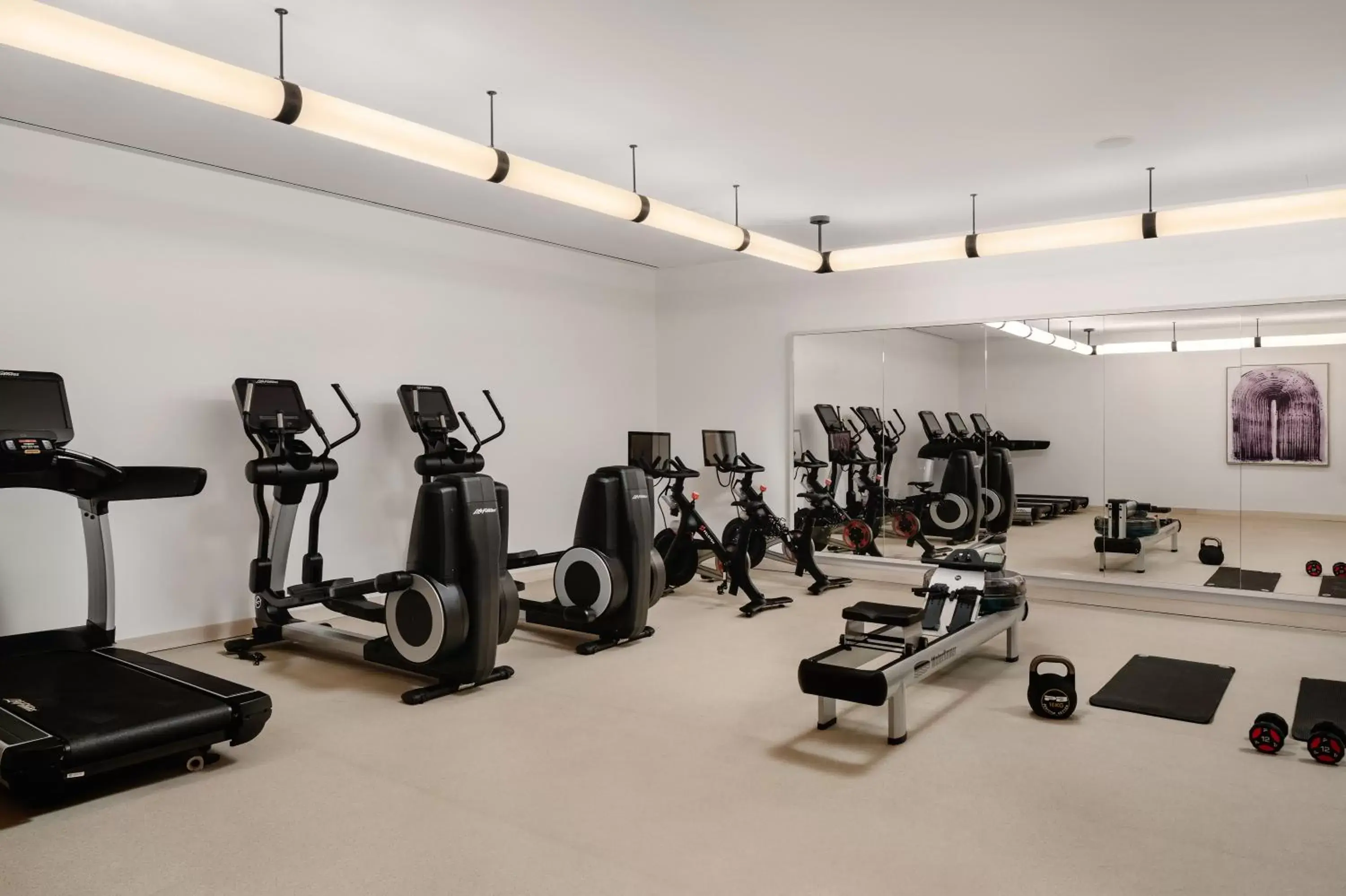 Fitness centre/facilities, Fitness Center/Facilities in Arlo Midtown