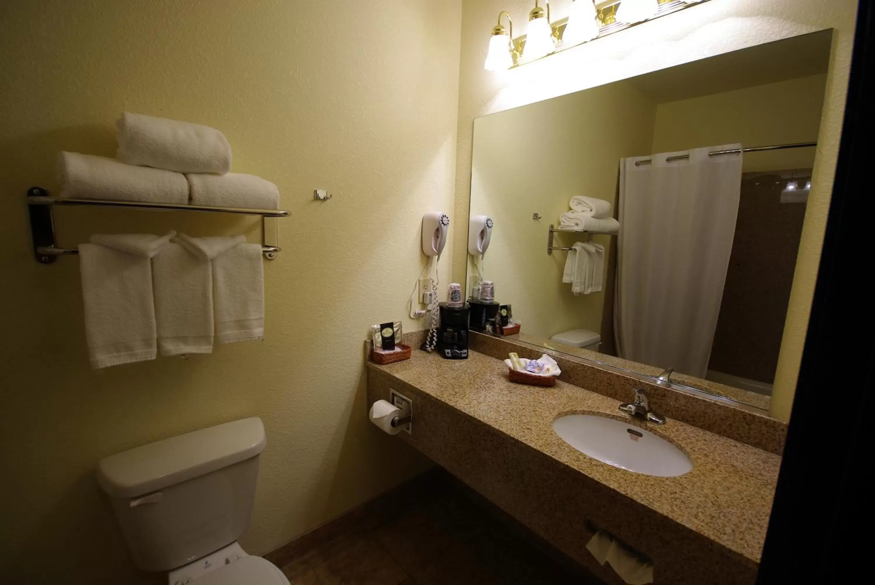 Bathroom in Mountain Inn & Suites Airport - Hendersonville