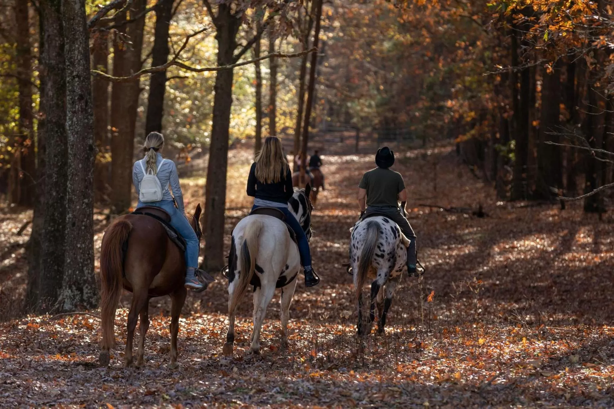 Horse-riding in Southern Cross Guest Ranch