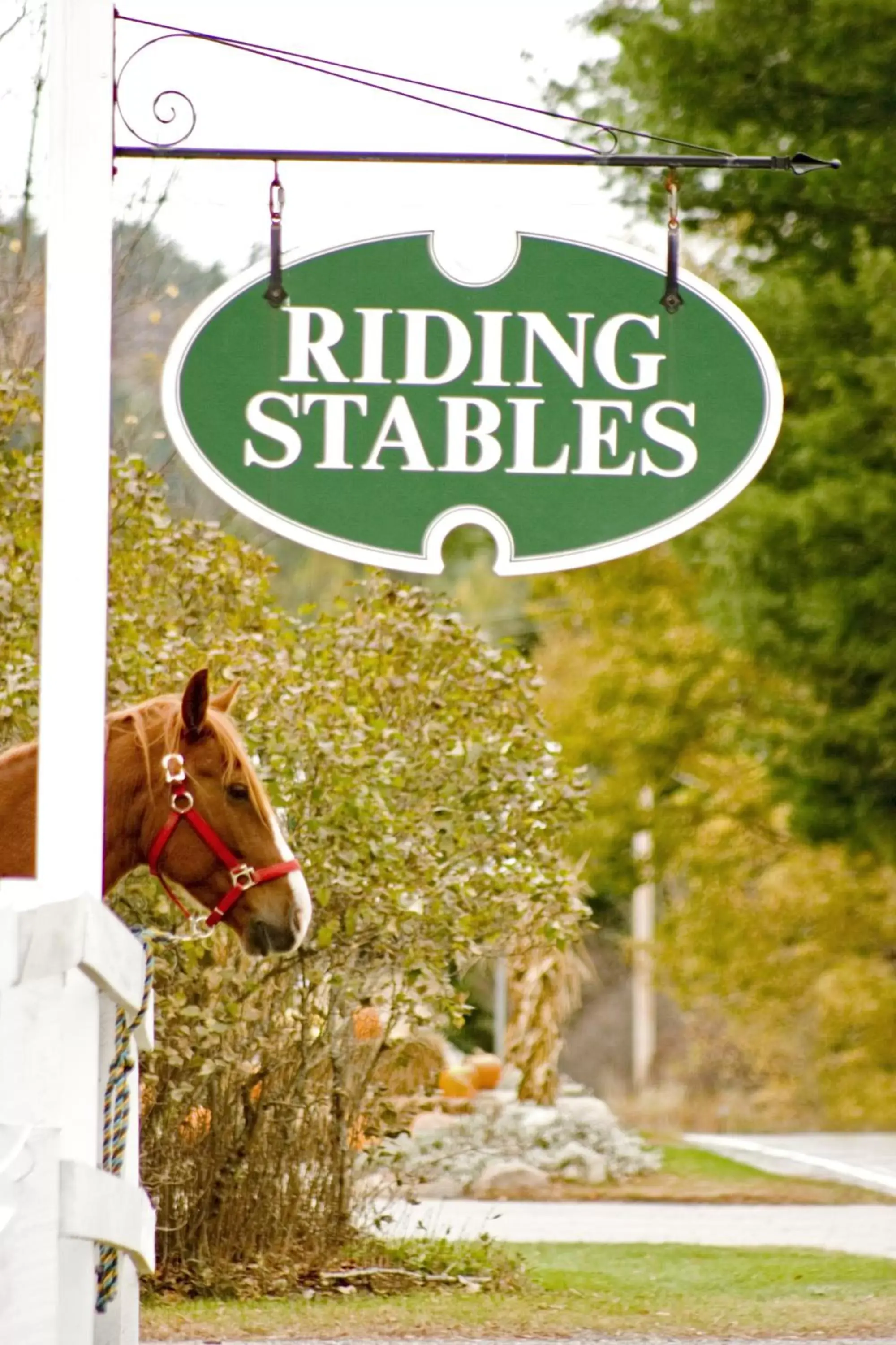 Horse-riding, Guests in Franconia Inn