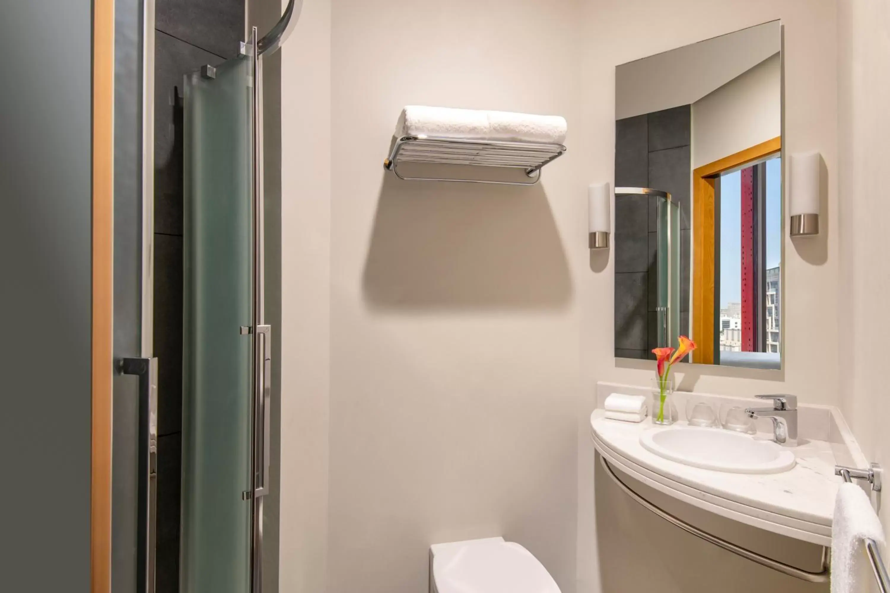 Property building, Bathroom in ibis Doha