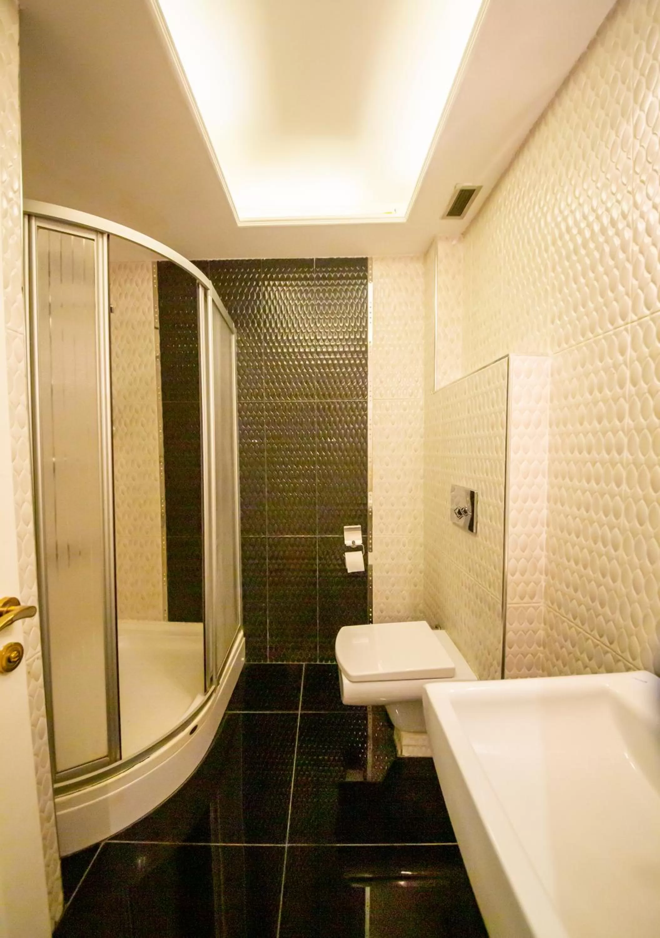 Shower, Bathroom in Royal Palace Hotel