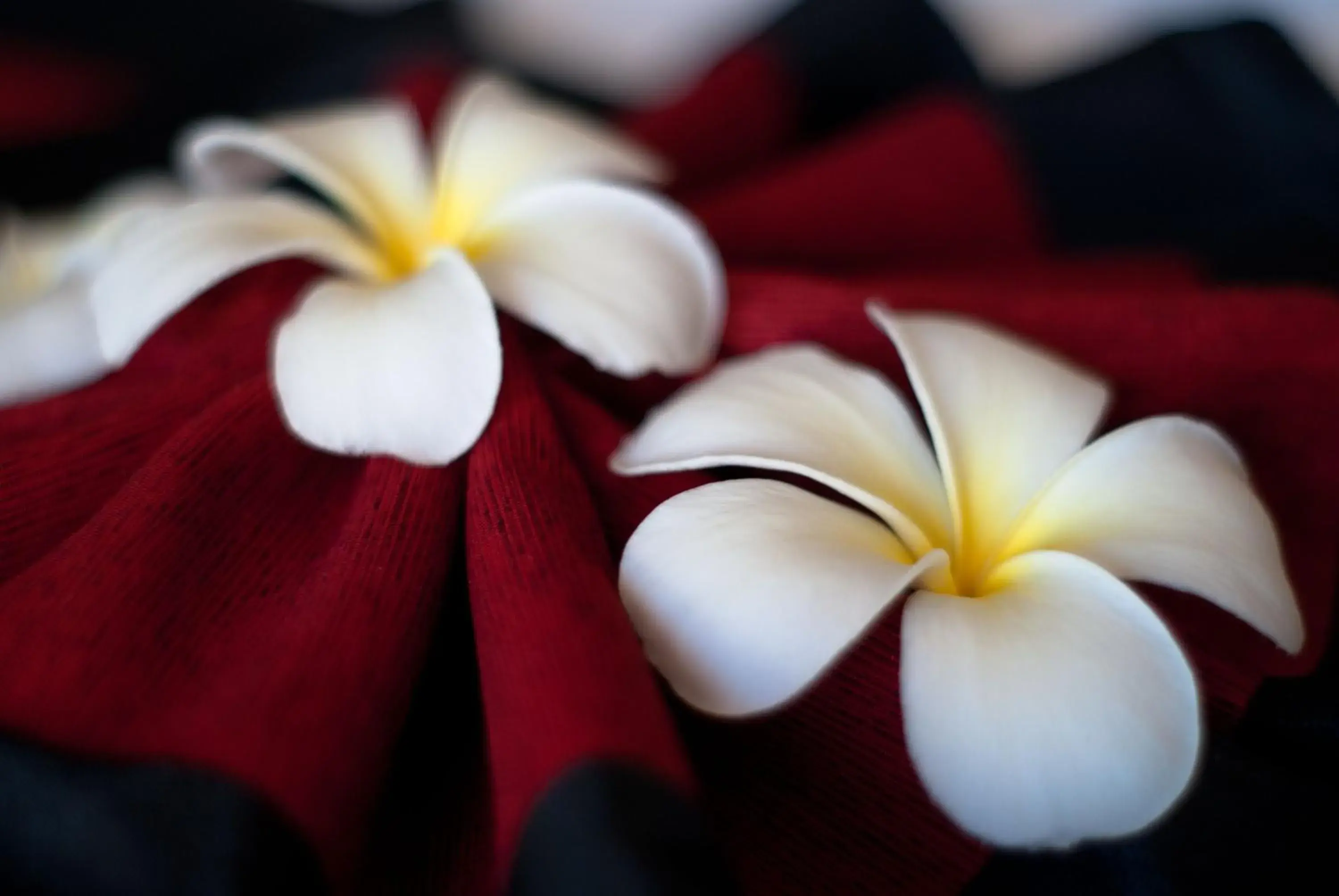 Other in P10 Samui Other in P10 Samui