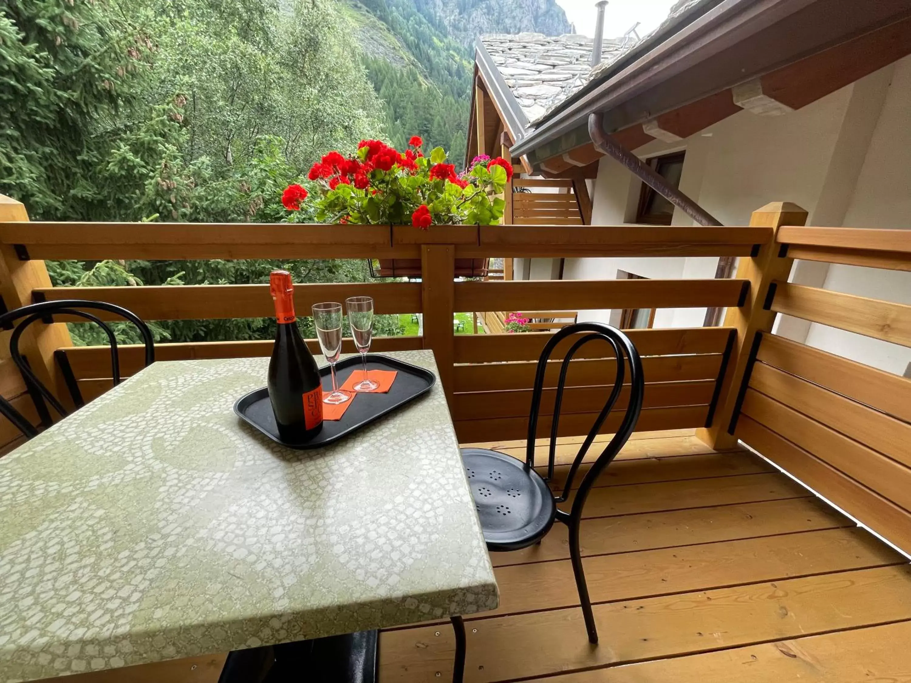 Balcony/Terrace in Hotel Aigle