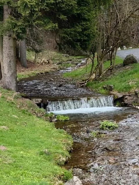 Natural landscape in Hotel Waldmühle