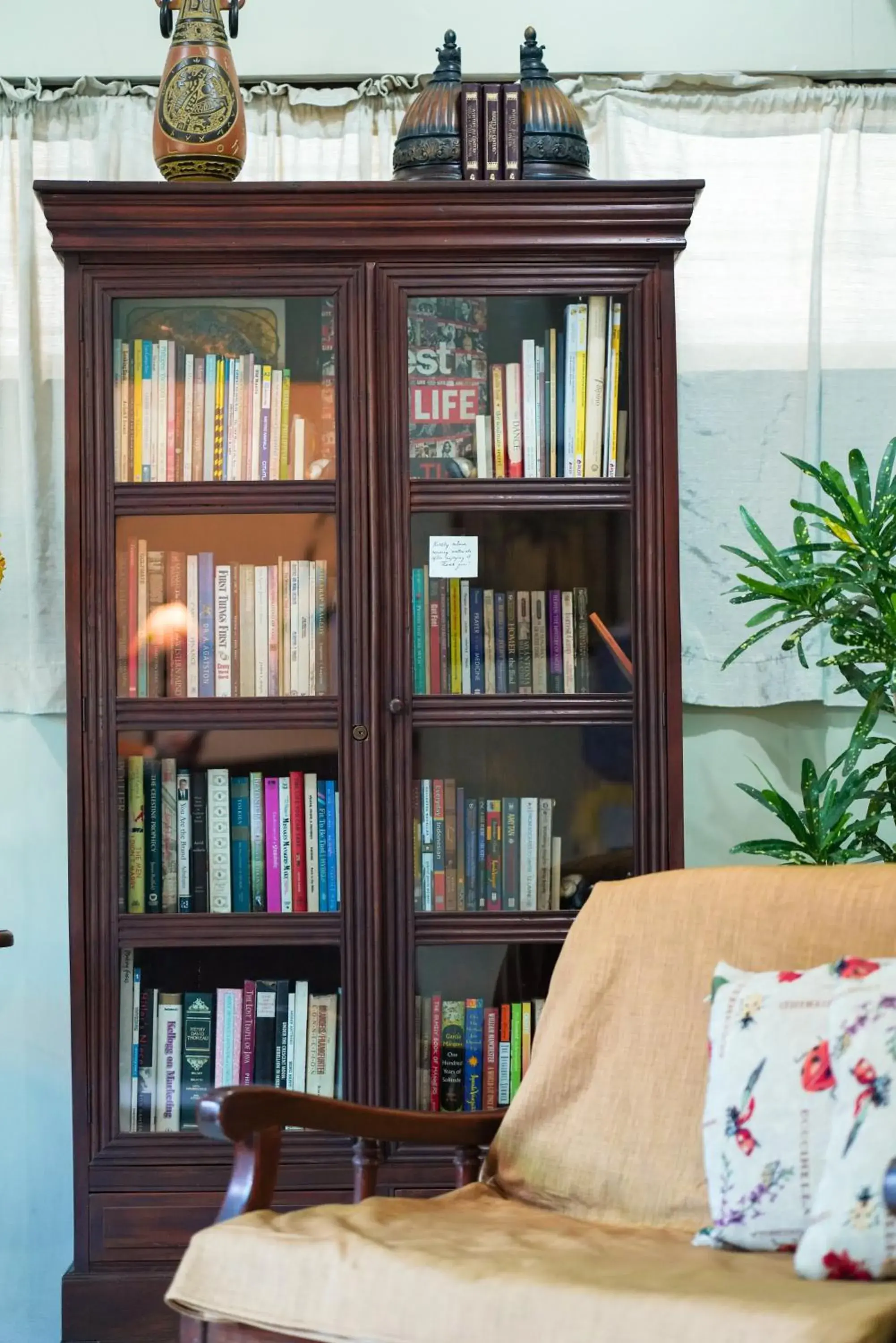 Library in Tarasa Hostel