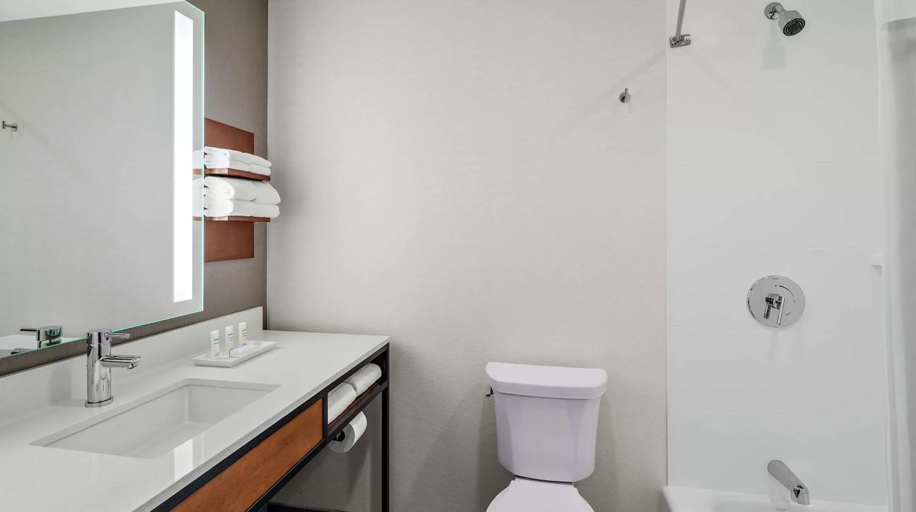 Bathroom in Hilton Garden Inn Chicago McCormick Place Bathroom in Hilton Garden Inn Chicago McCormick Place