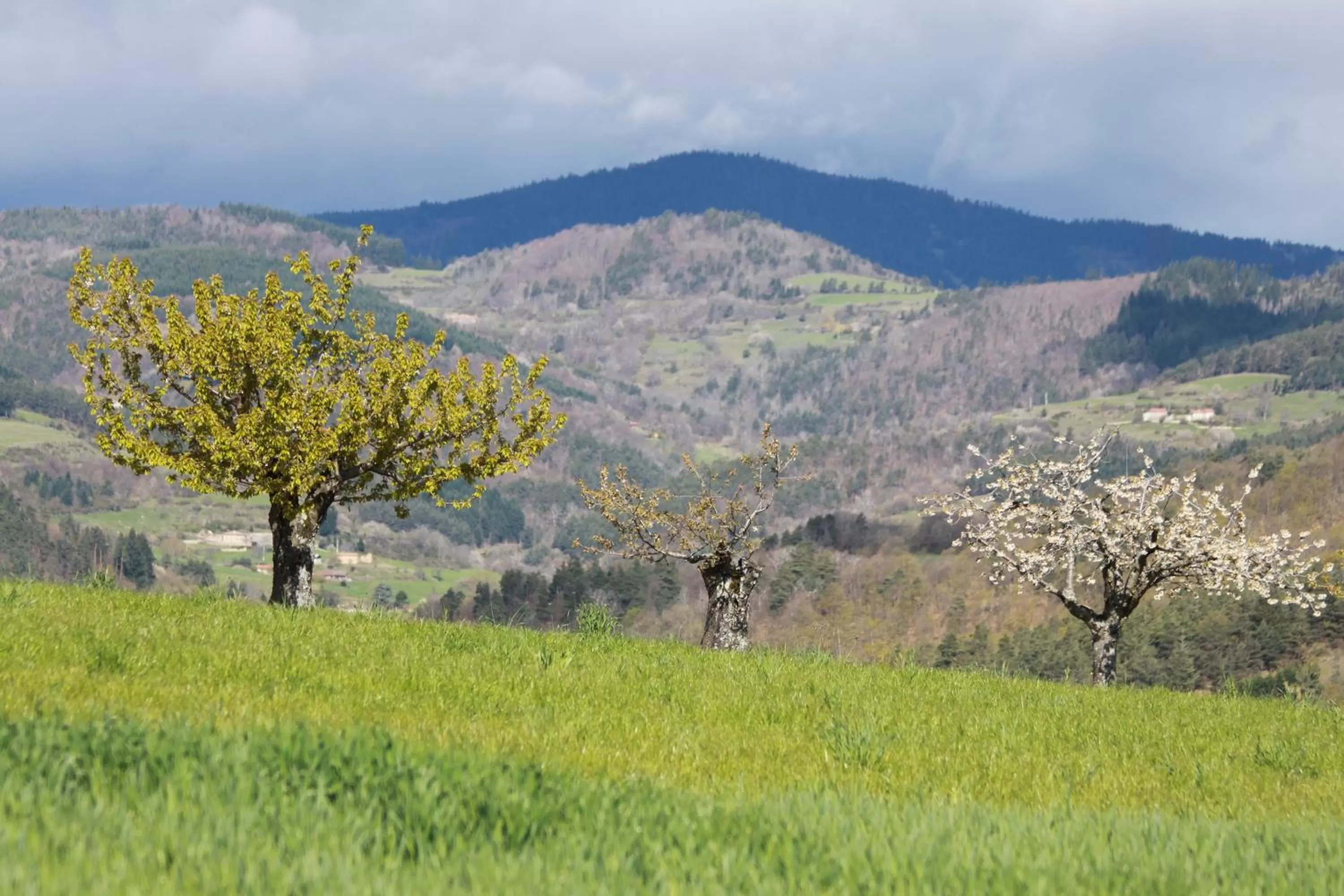 Neighbourhood in La Bastide de Fontaille
