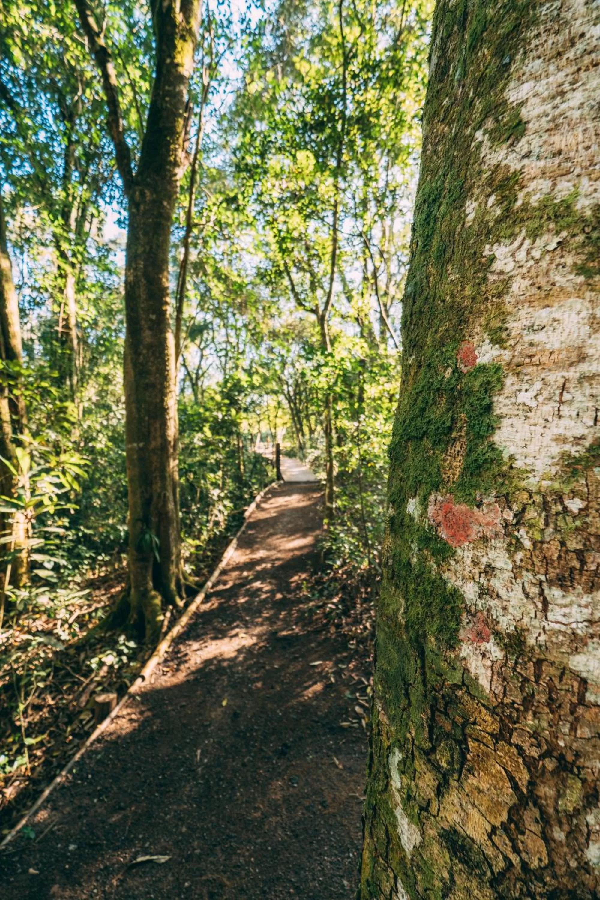 Natural landscape in Pousada Trem Chic