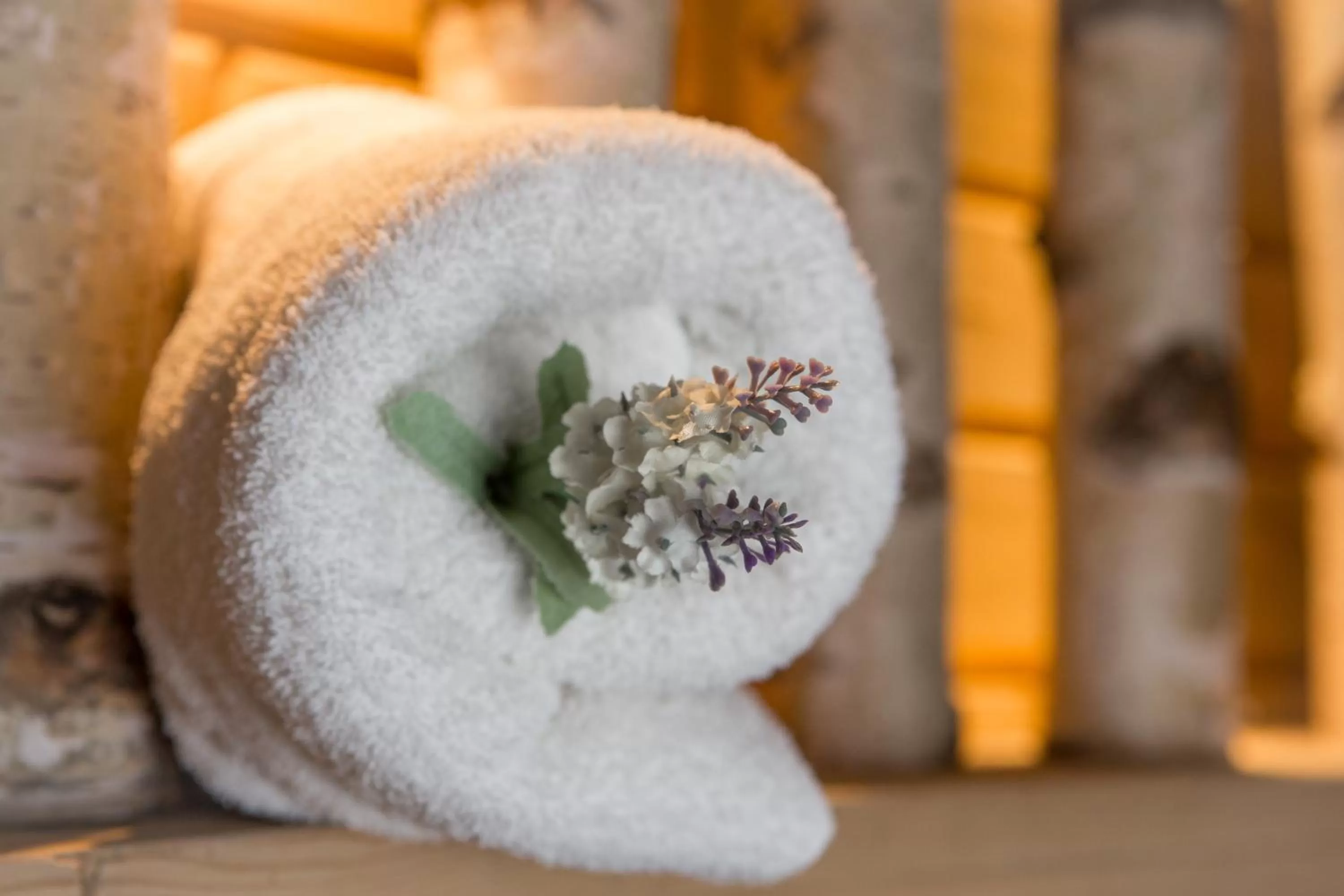 Historic Hotel Ristorante La Stua