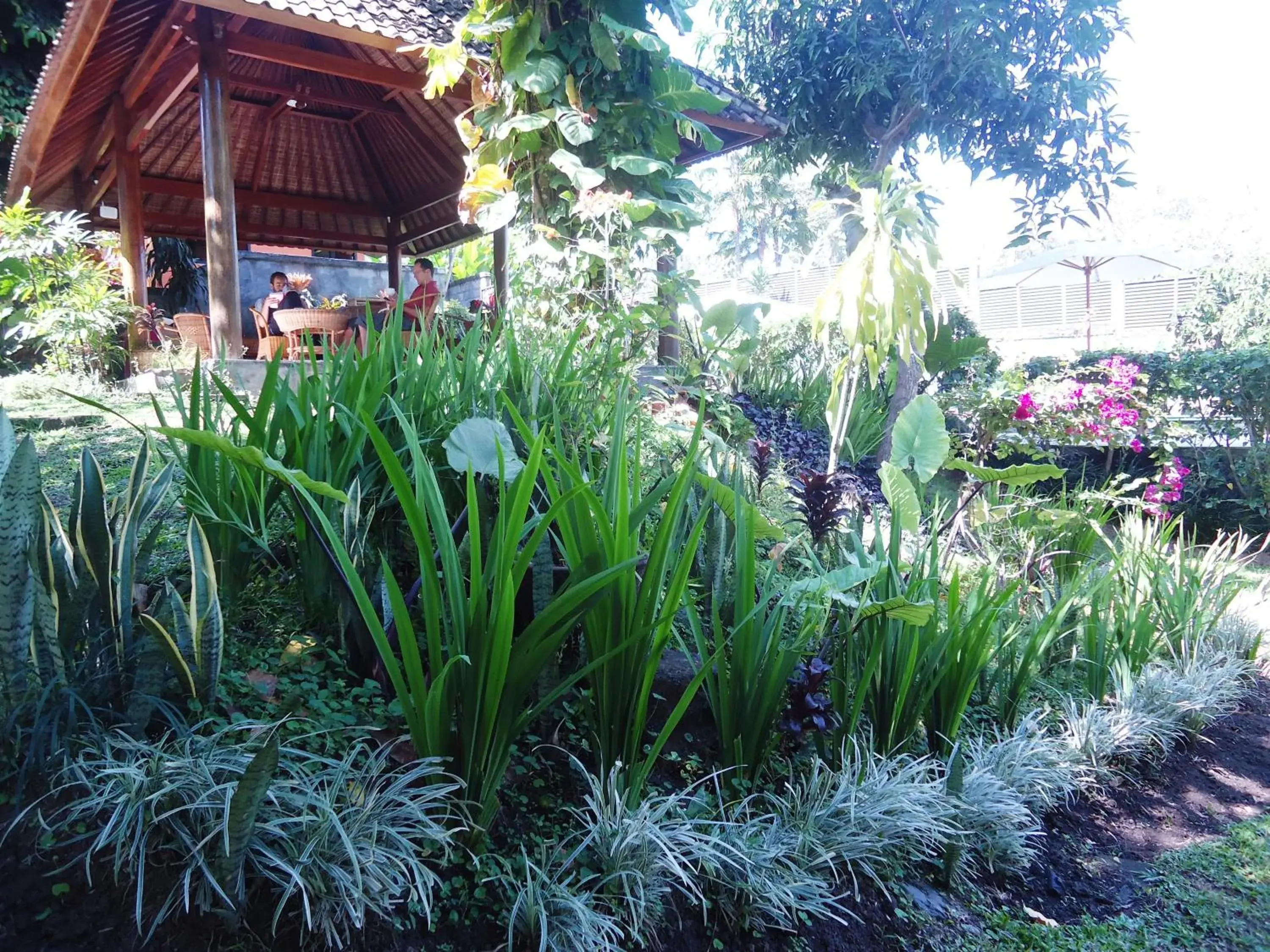 Restaurant/places to eat, Garden in Argasoka Bungalows