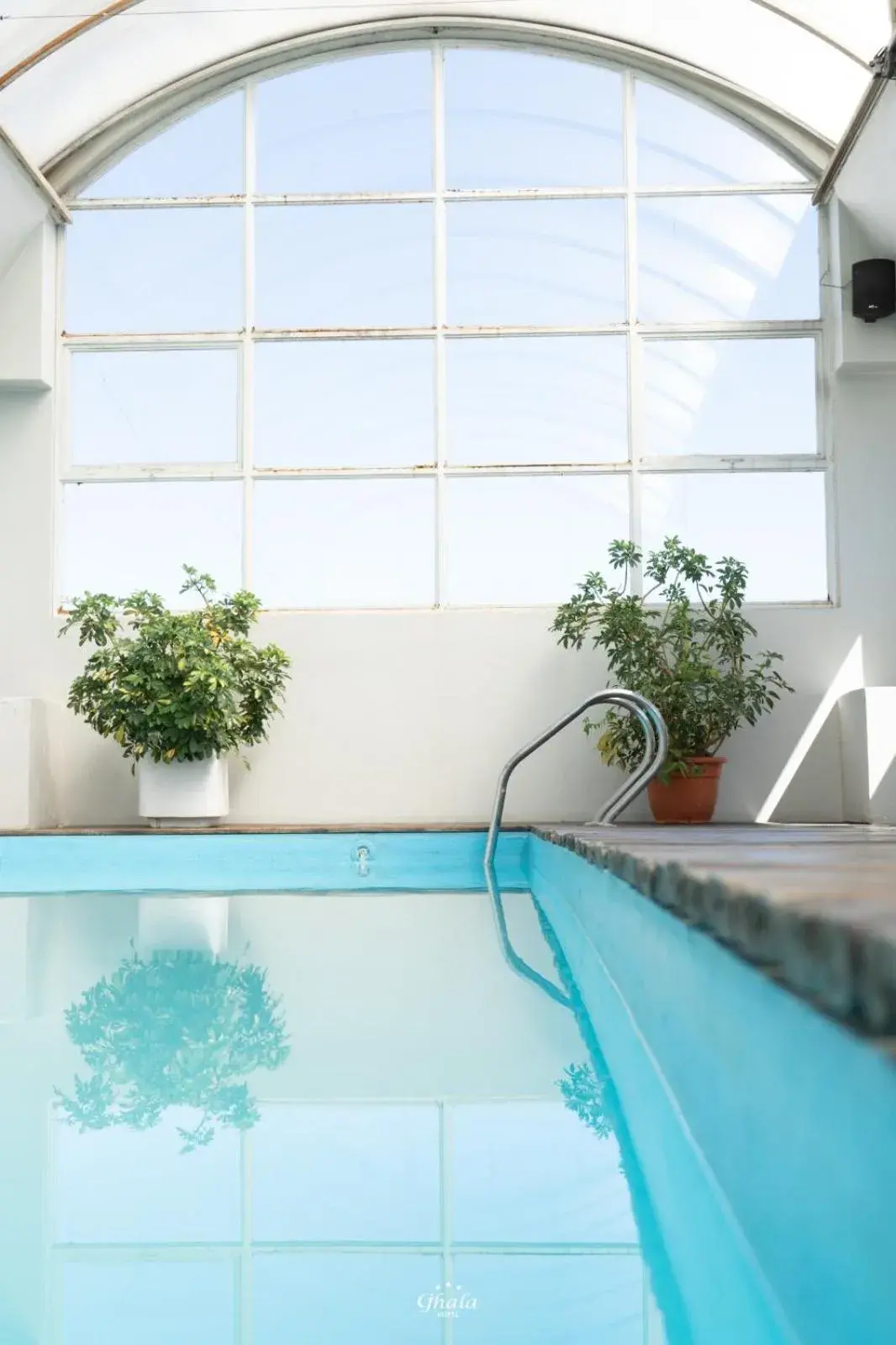 Pool view, Swimming Pool in Hotel Ghala Salta