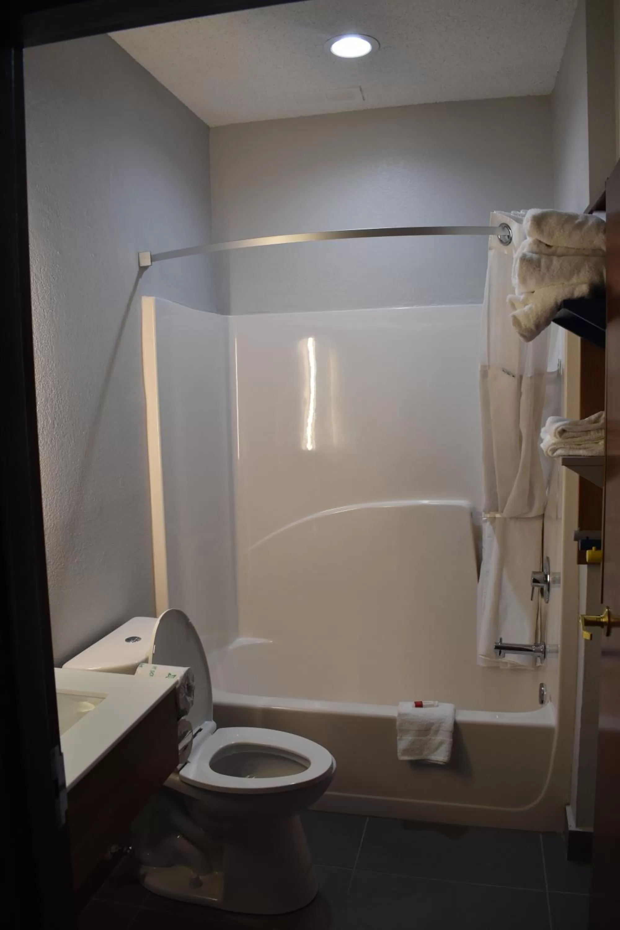 Bathroom in Microtel Inn & Suites by Wyndham Stockbridge/Atlanta I-75