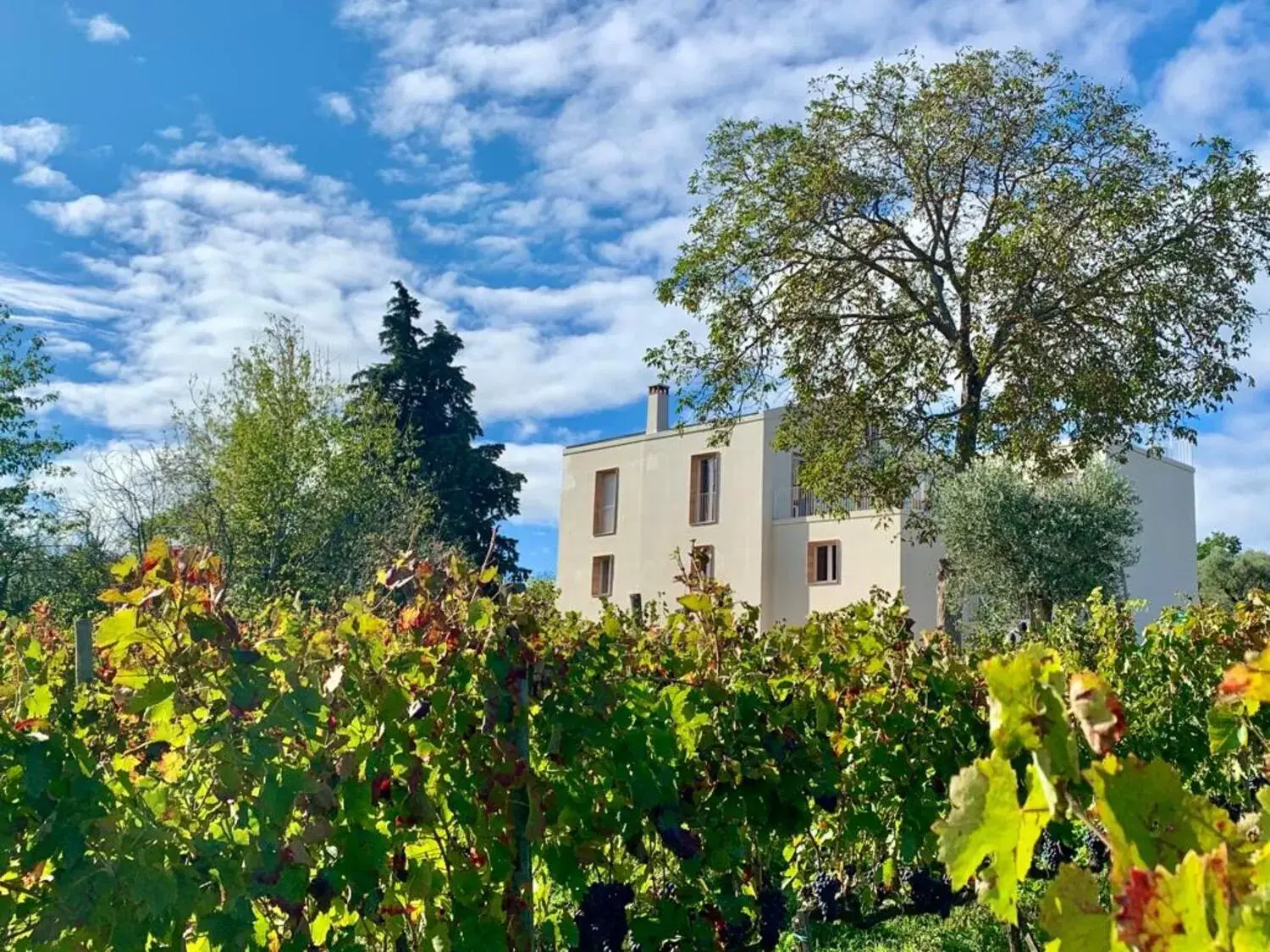 Property Building in Agriturismo Le Masciare