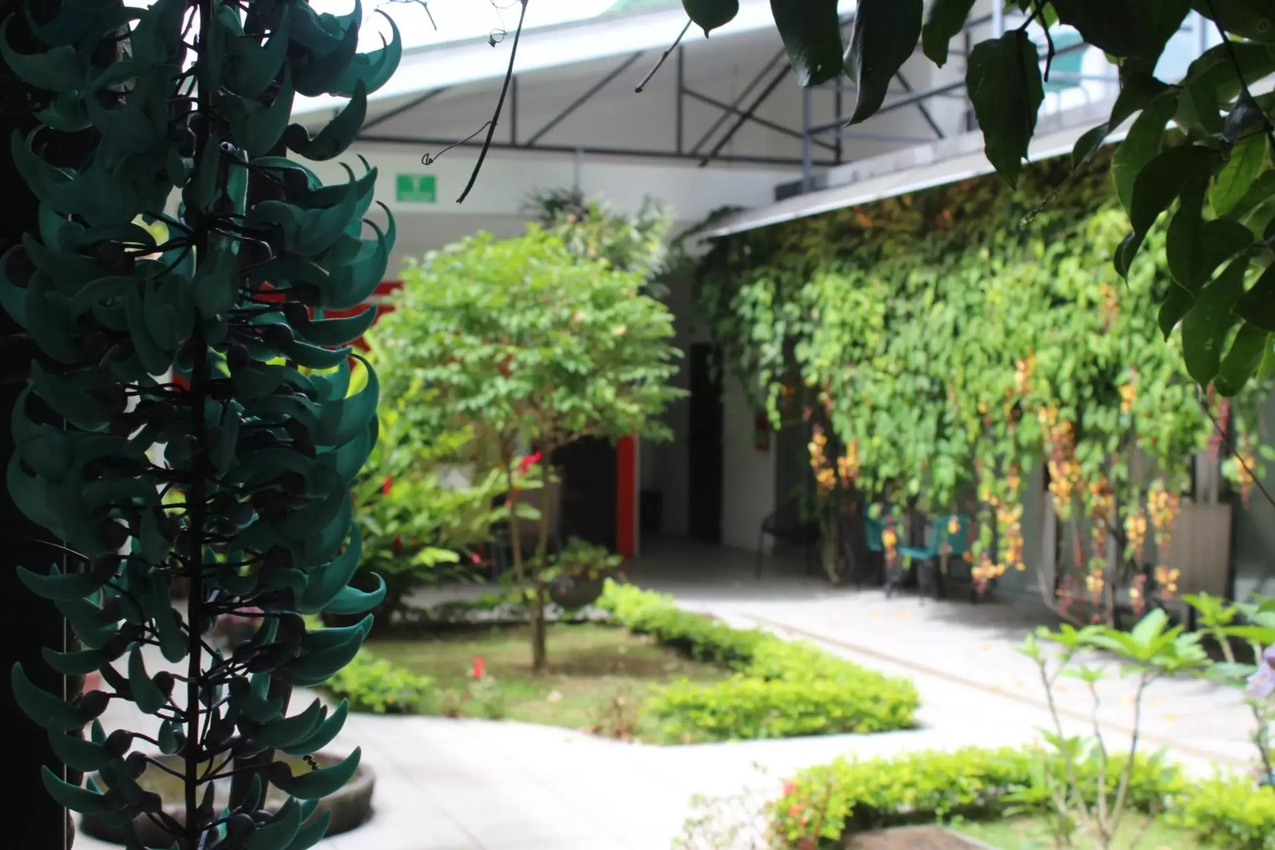 Garden in Cando Living Apartments in Central Avenue